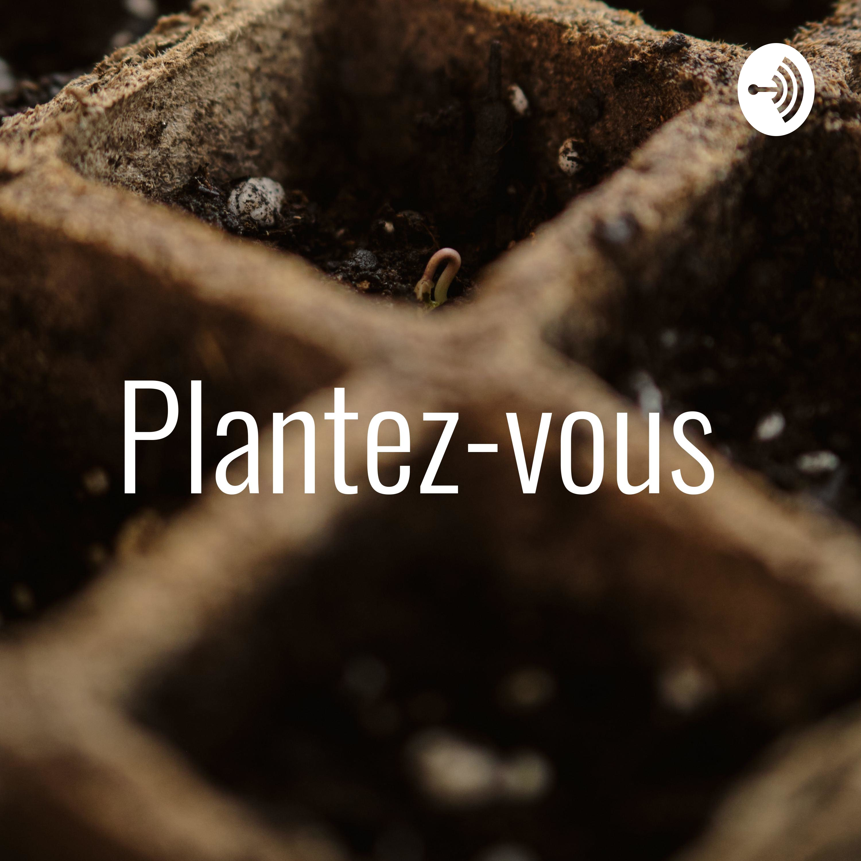 Plantez-vous