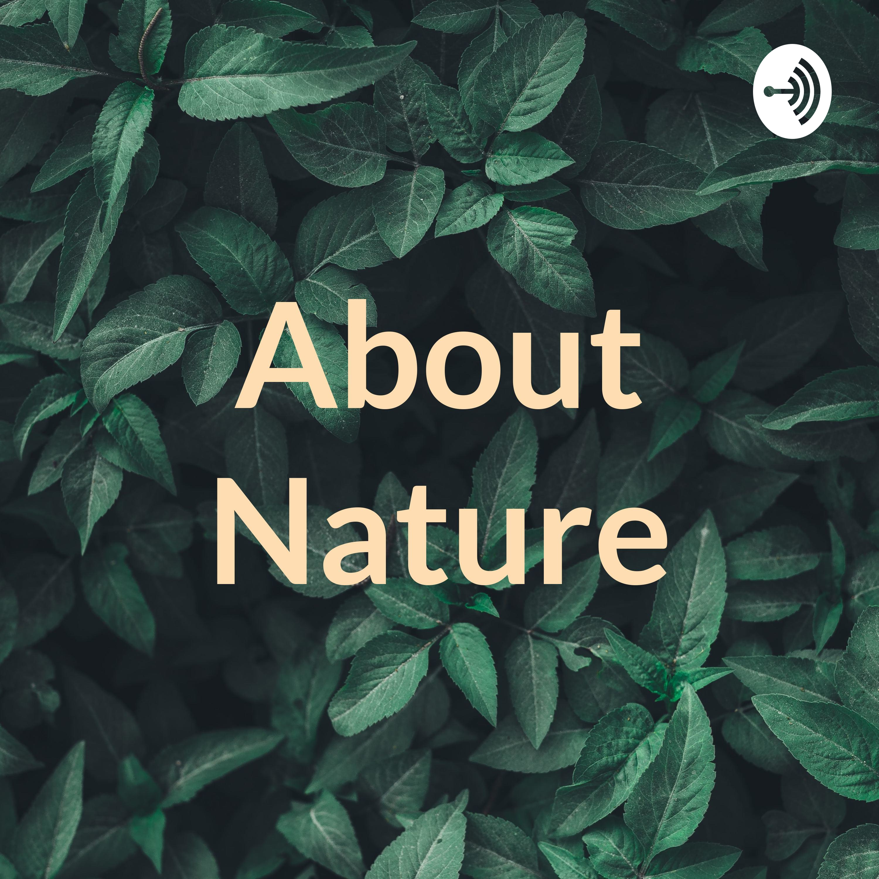 About Nature