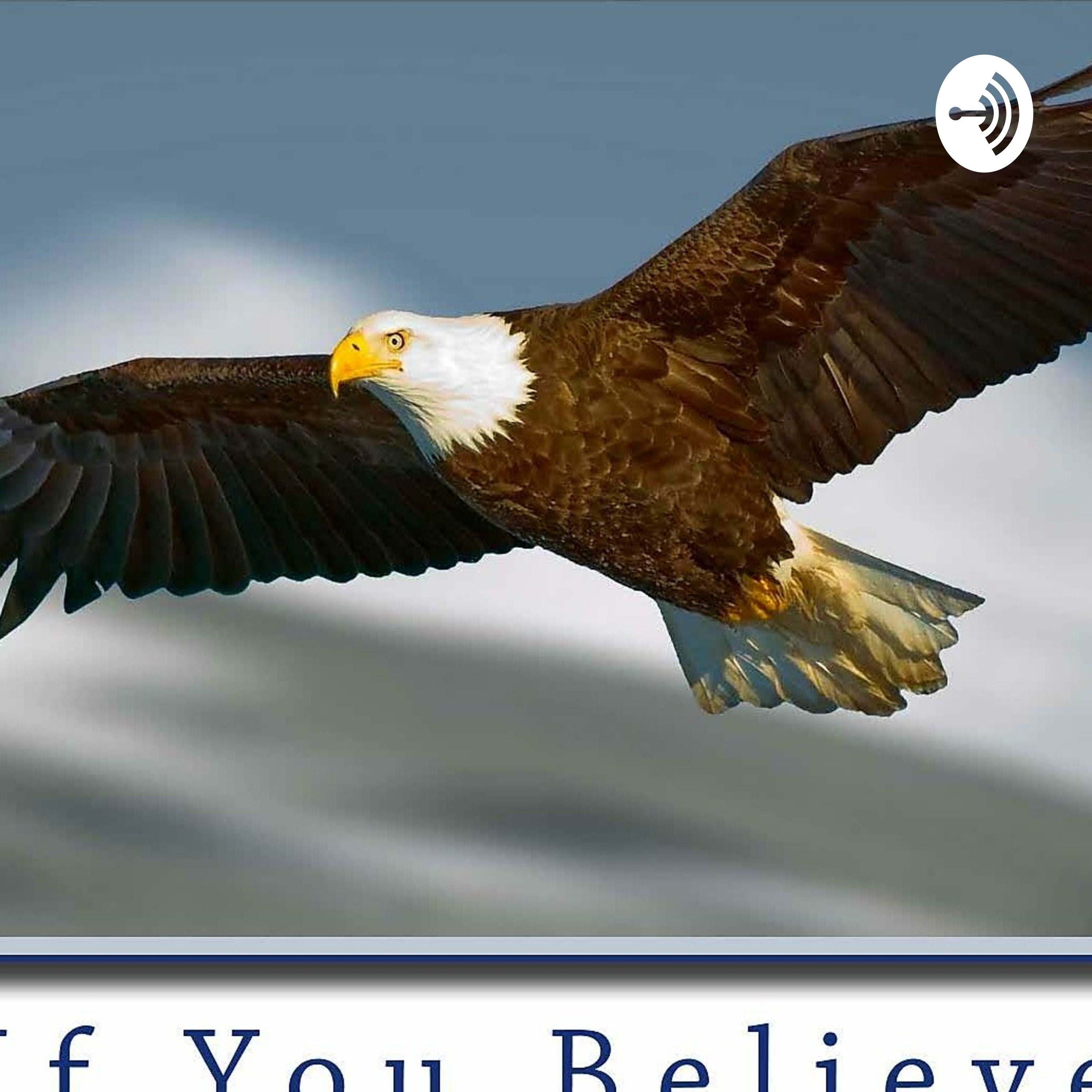 Higher Life Ministries