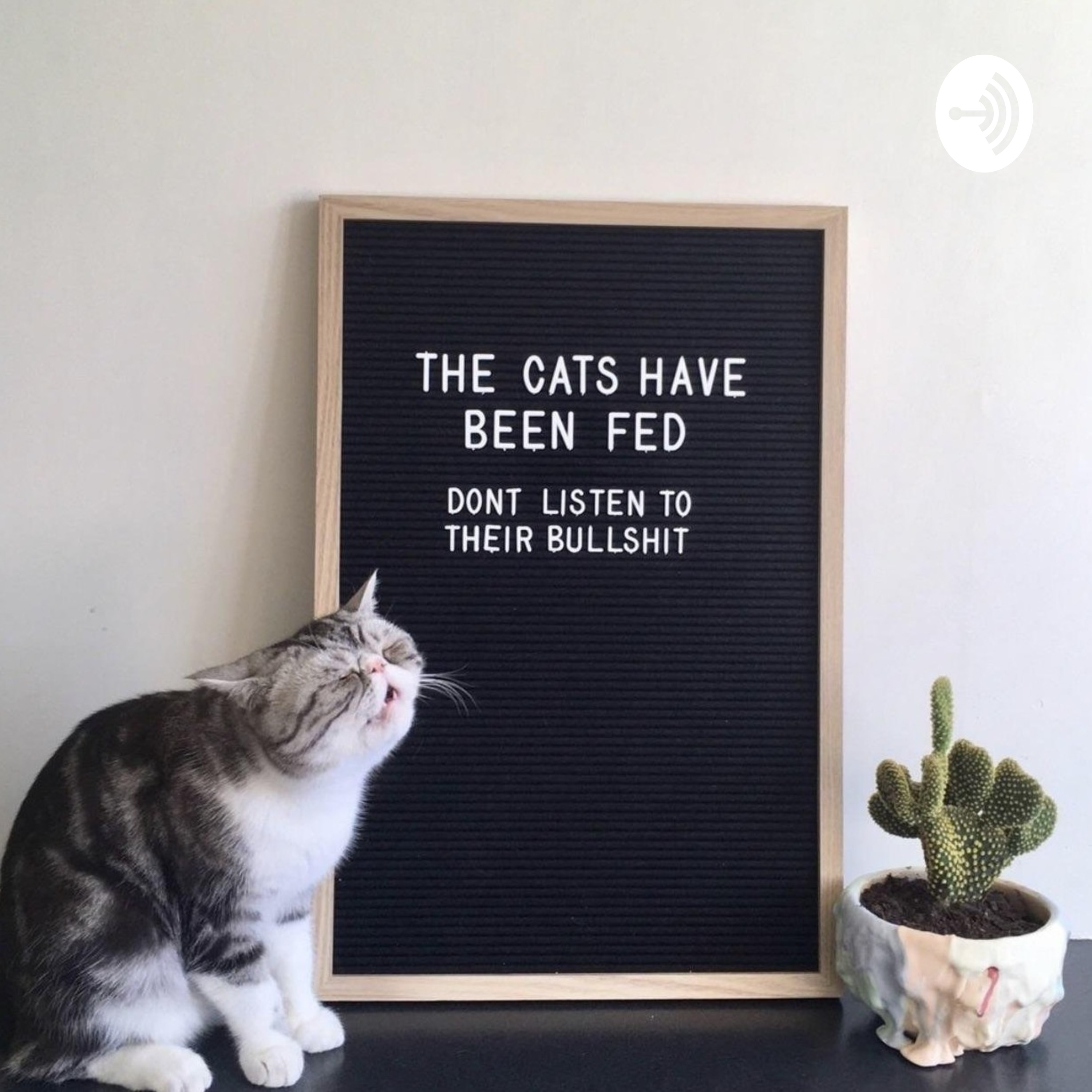 How The Fuck Did We Get Here?