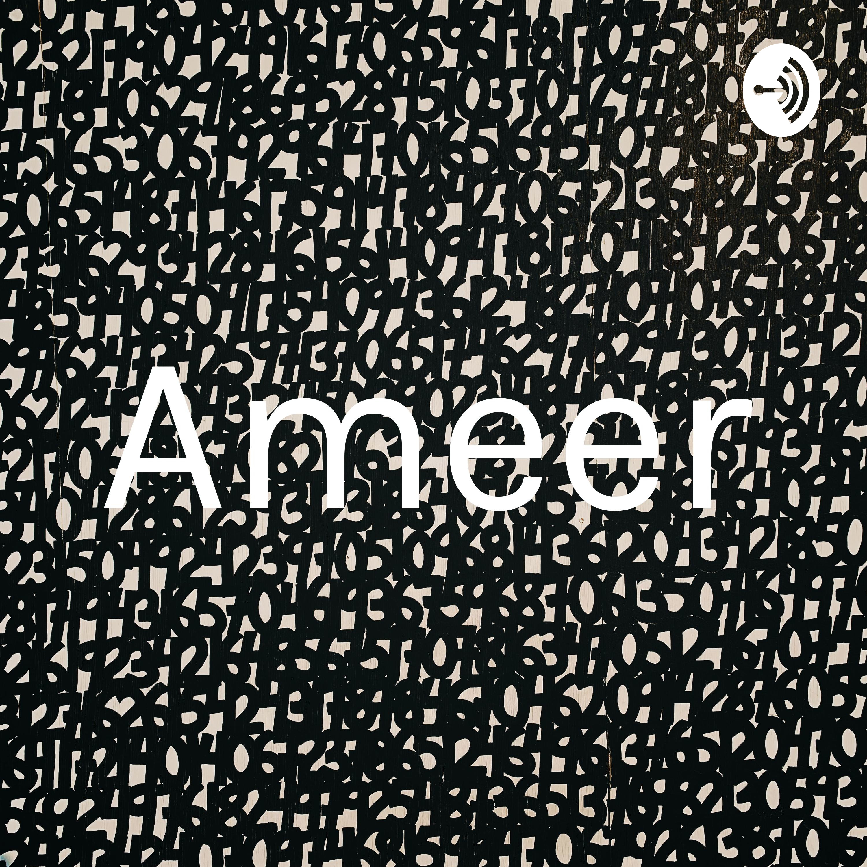 Ameer