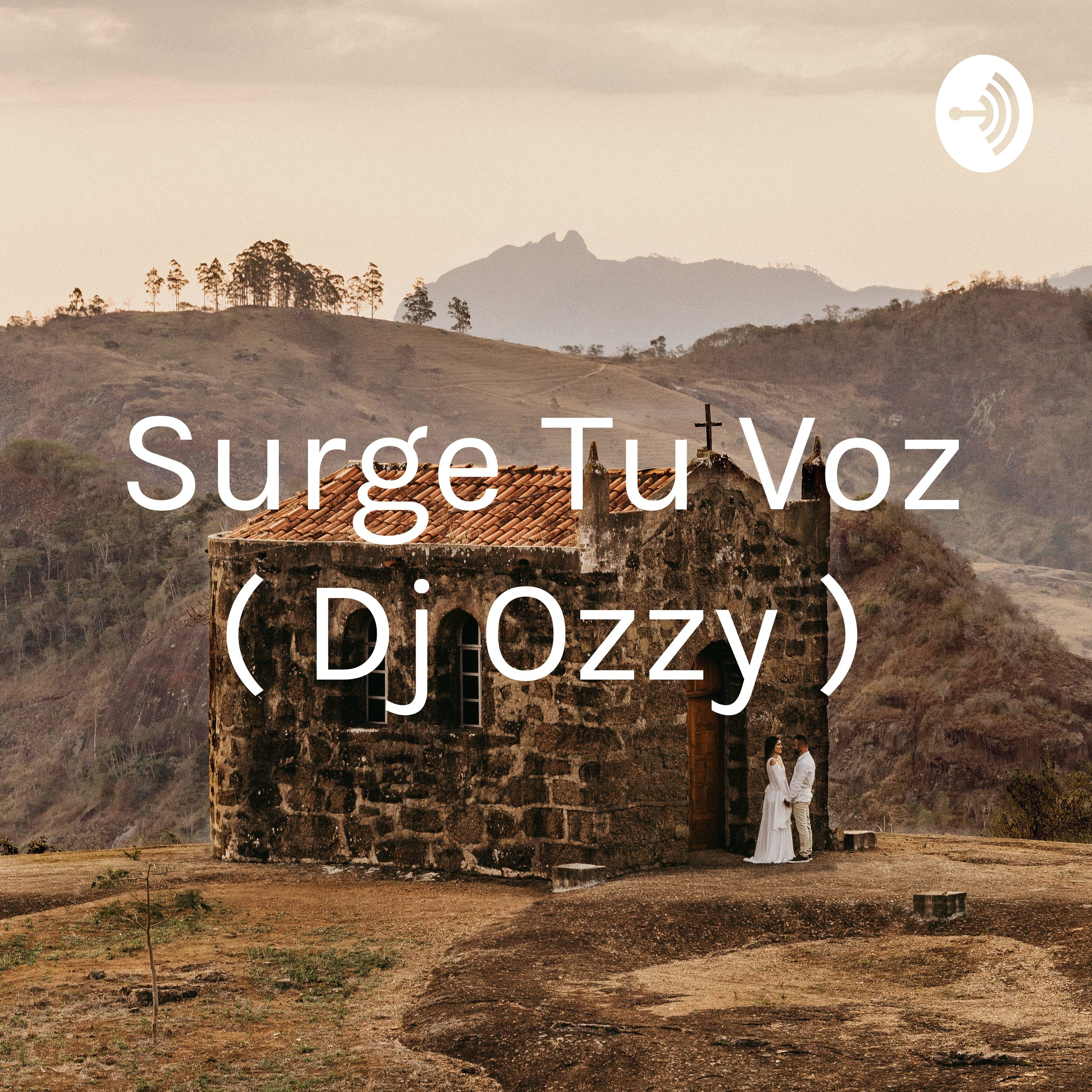 Surge Tu Voz ( Dj Ozzy )