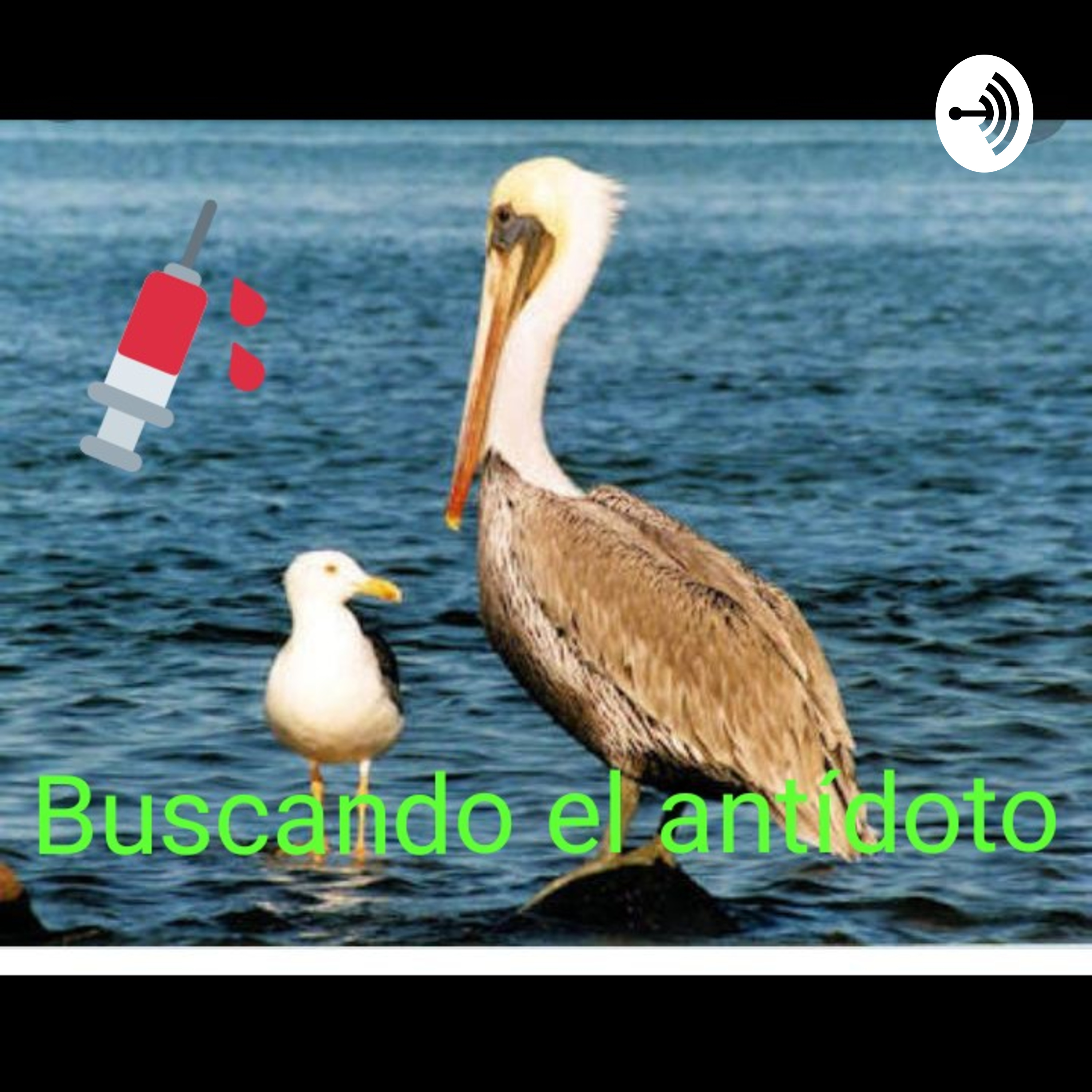 Buscando El Antídoto