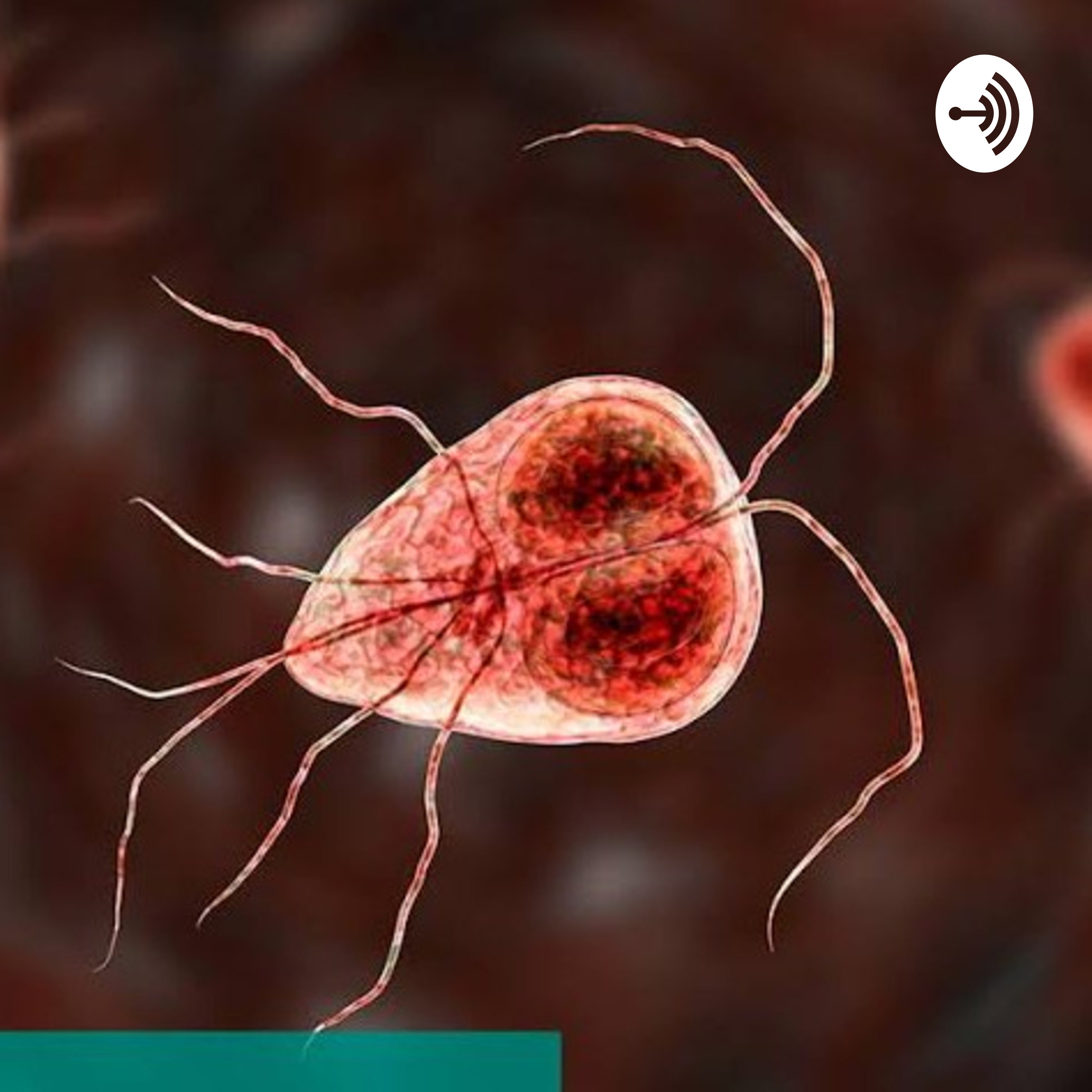 Parásitos del Hombre 