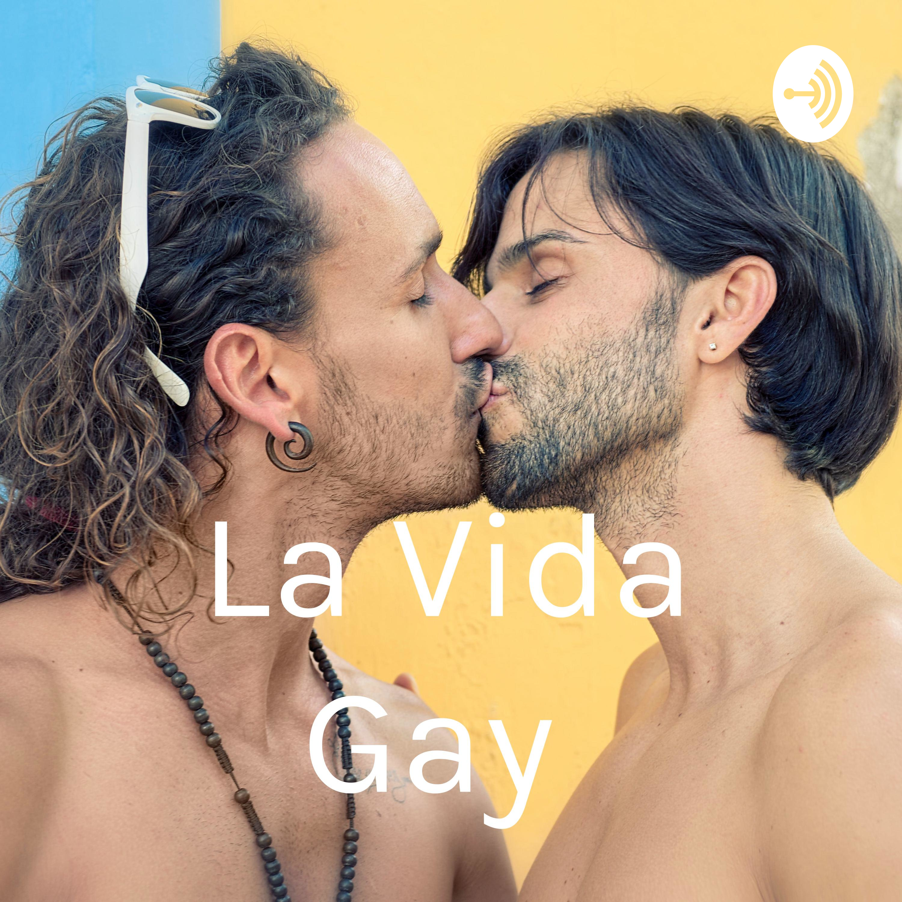 La Vida Gay 
