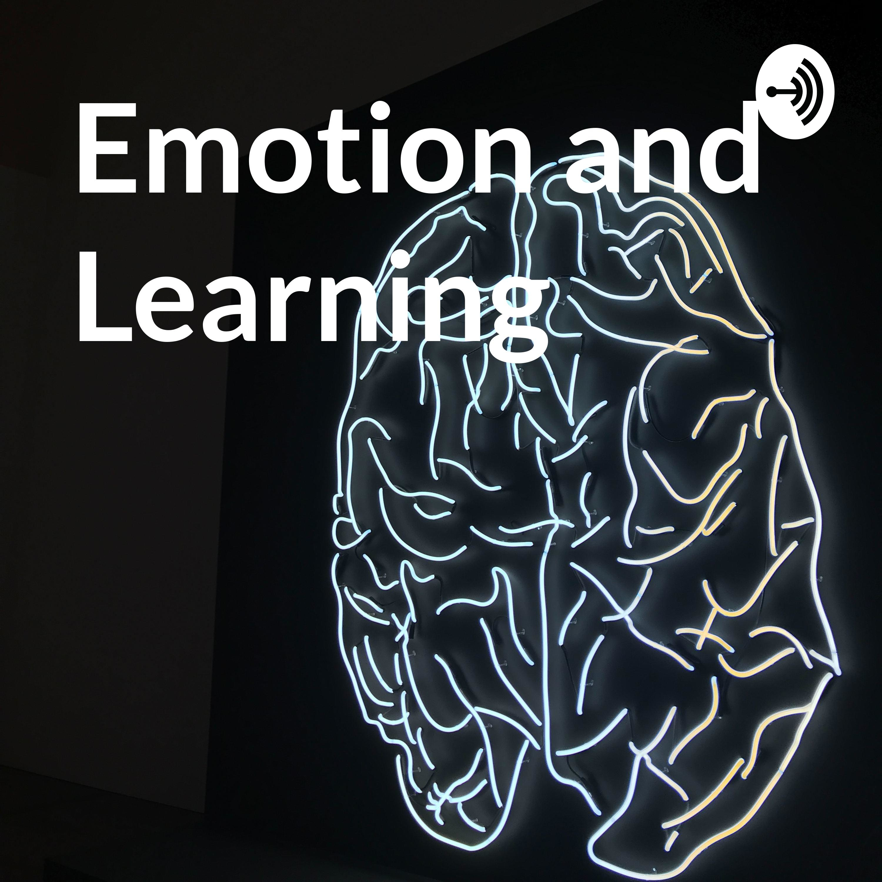 Emotion and Learning
