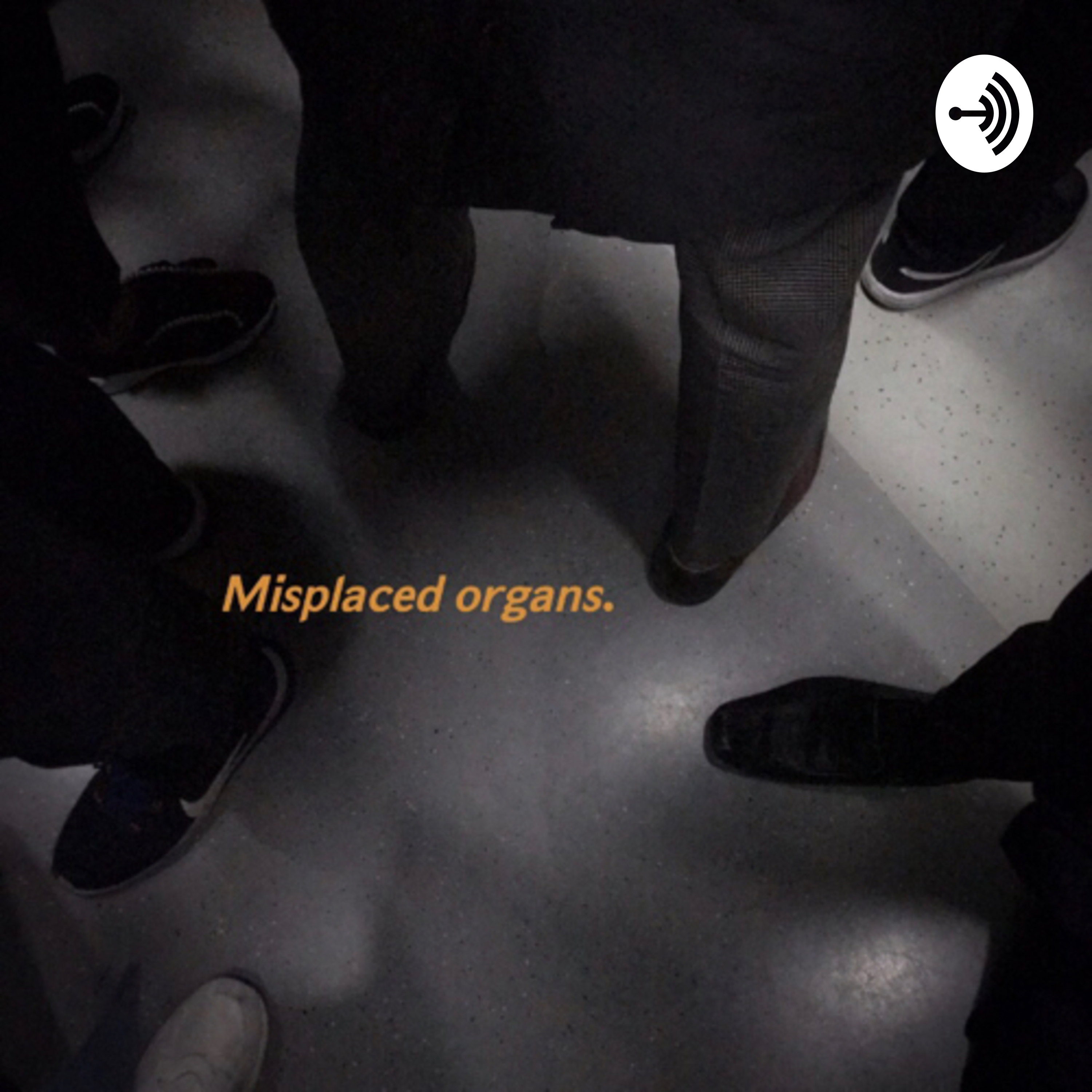 Misplaced Organs cover