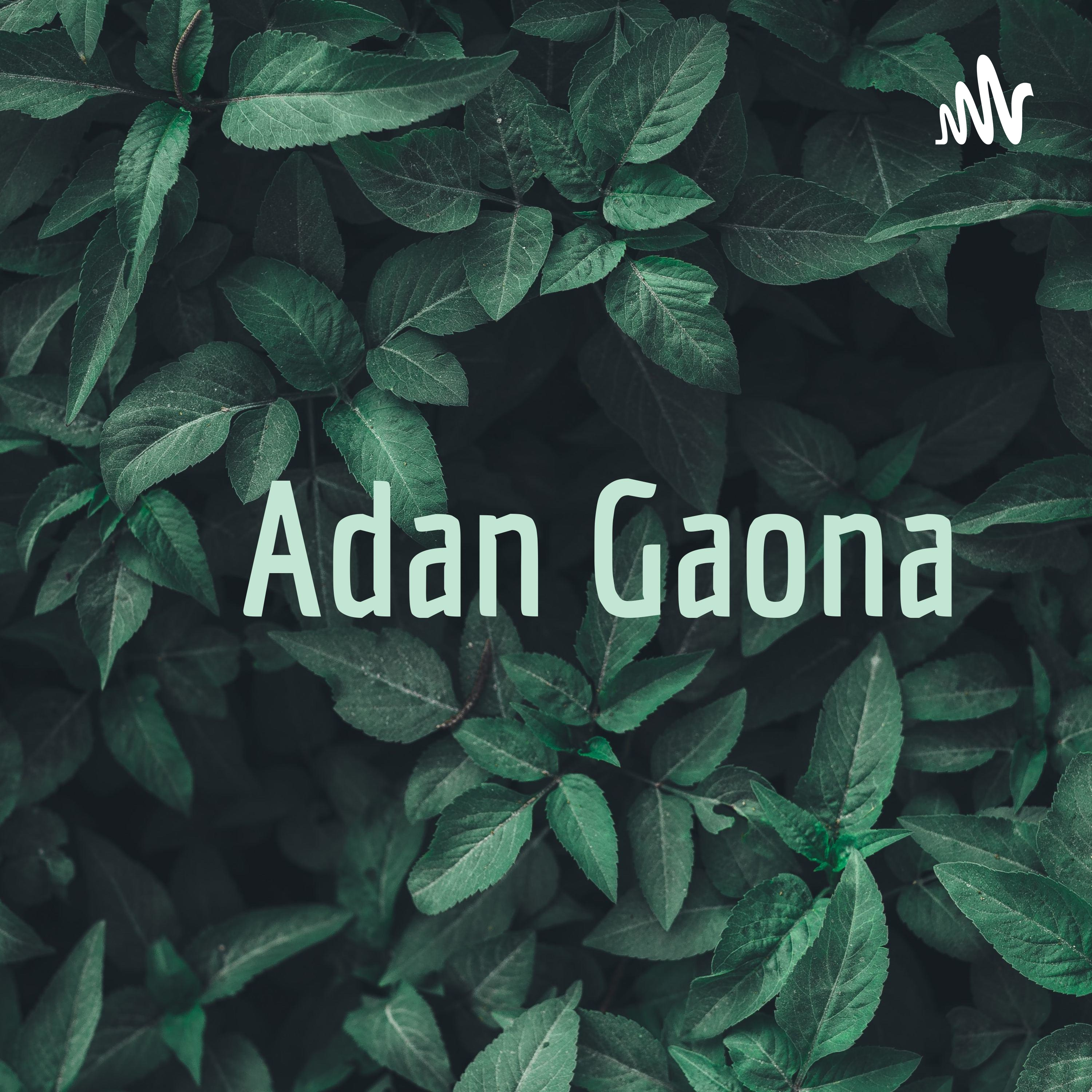 Adan Gaona cover art
