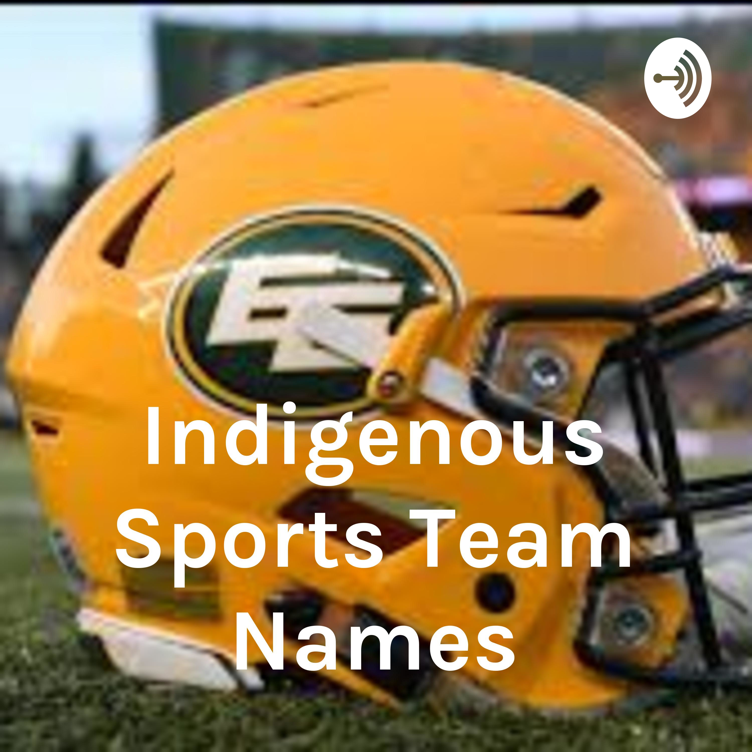 Indigenous Sports Team Names - Time for a Change