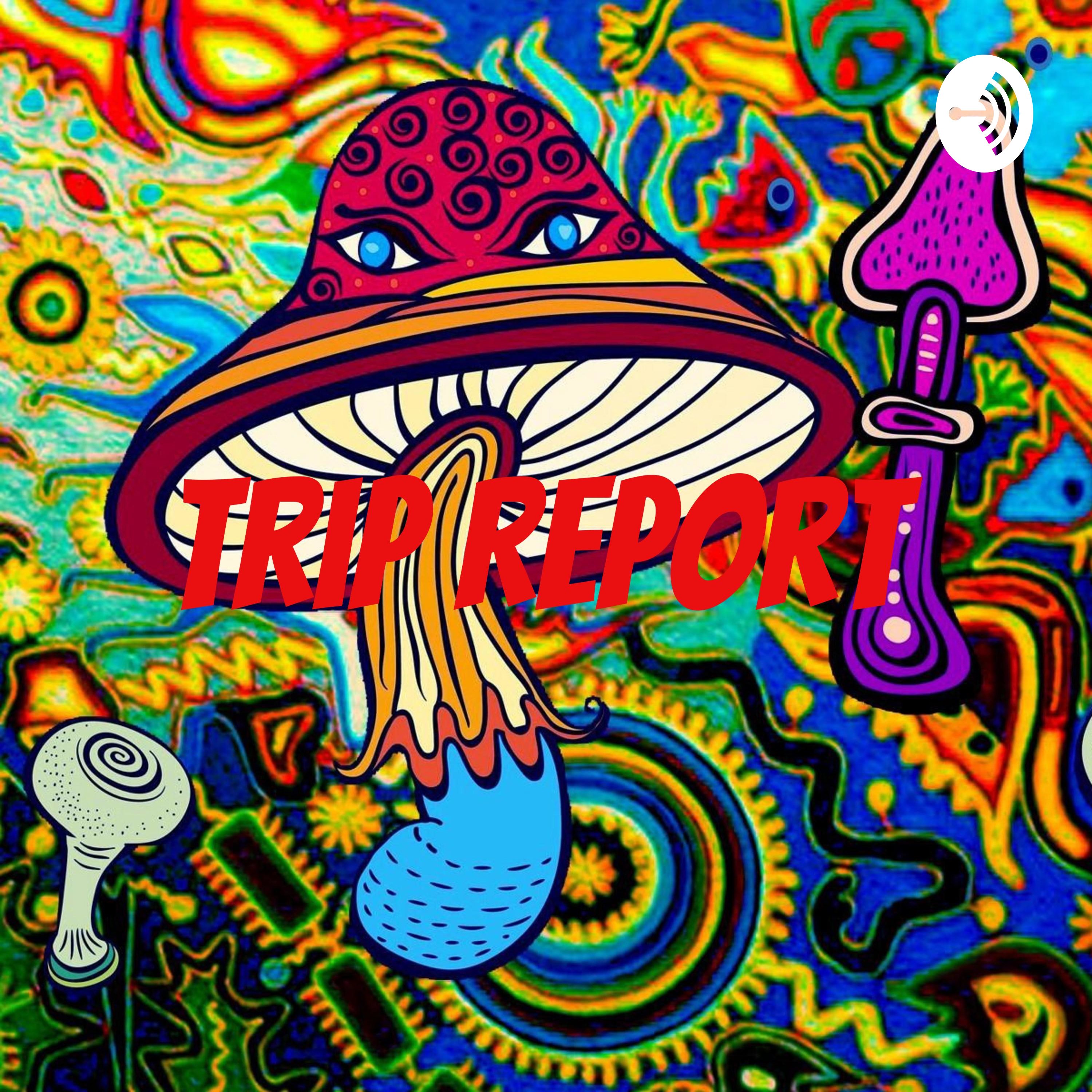 Trip Report 