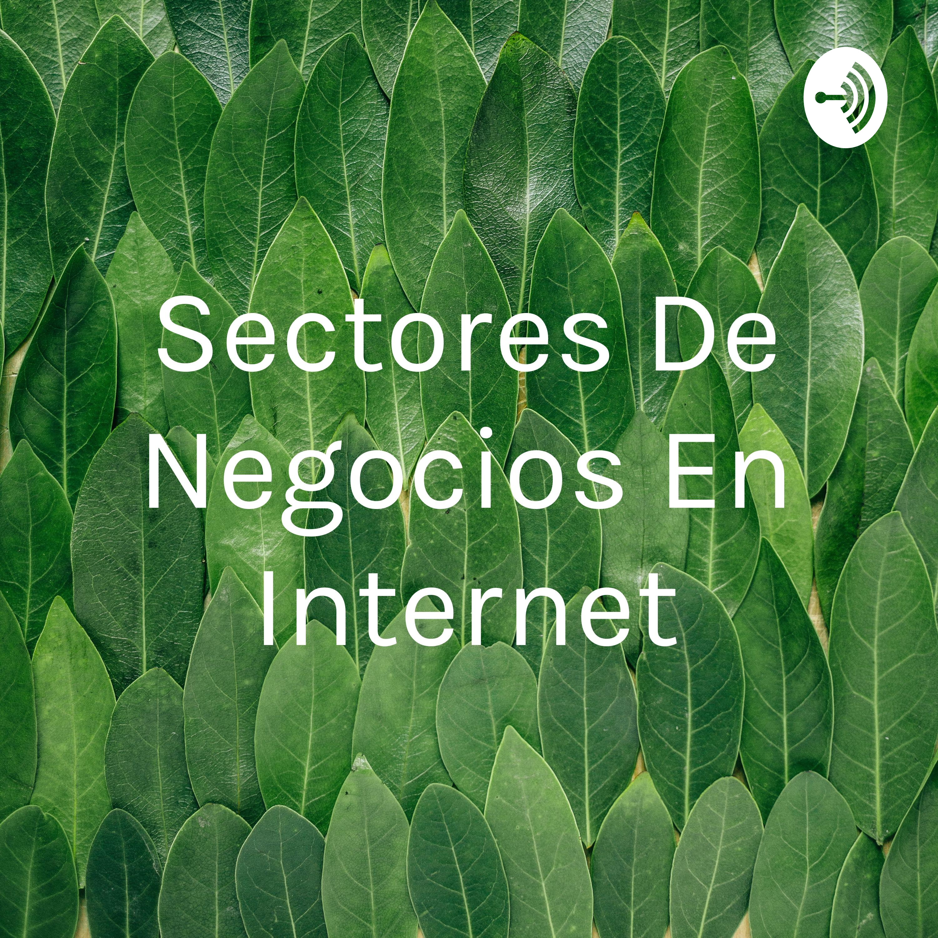 Sectores De Negocios En Internet