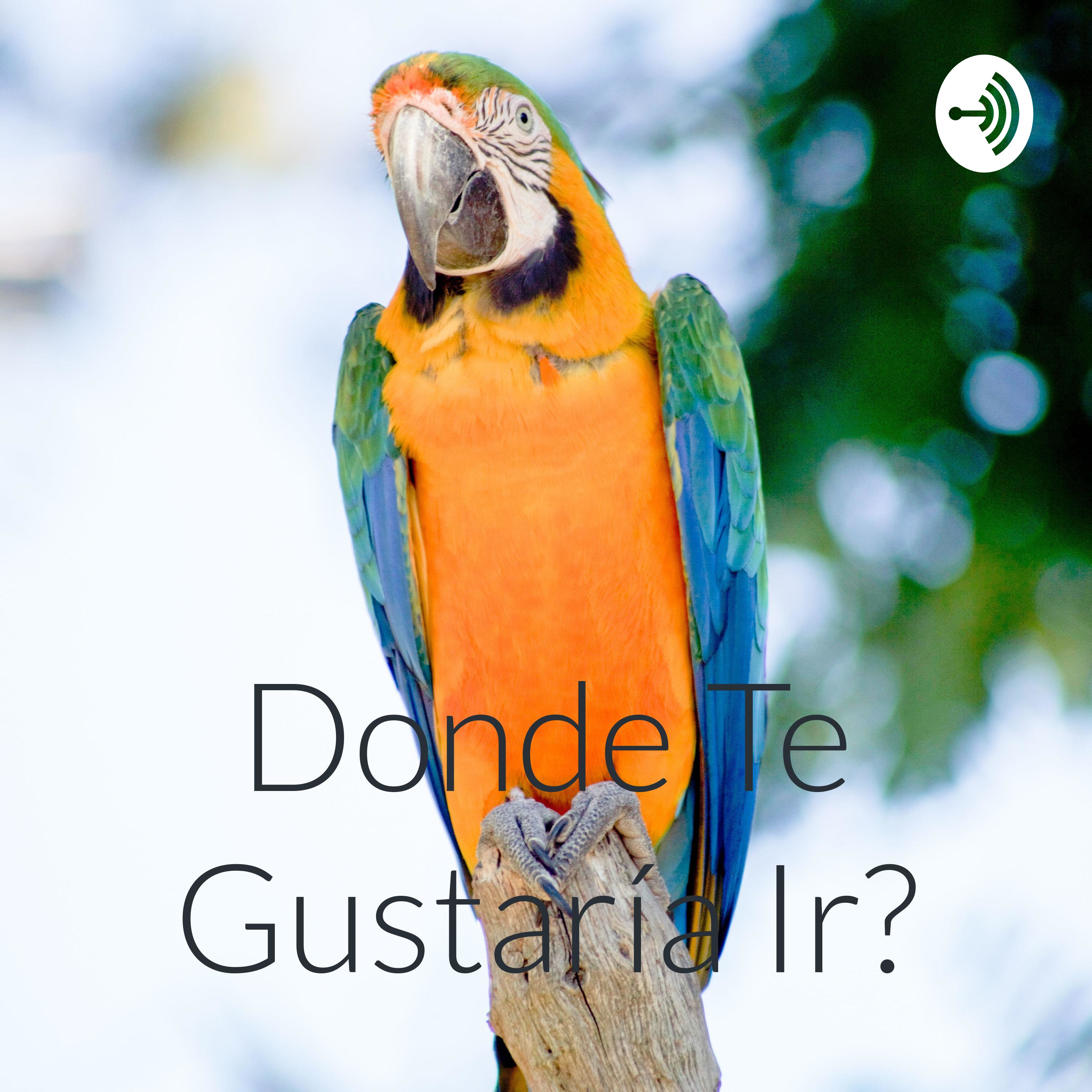 Donde Te Gustaría Ir?