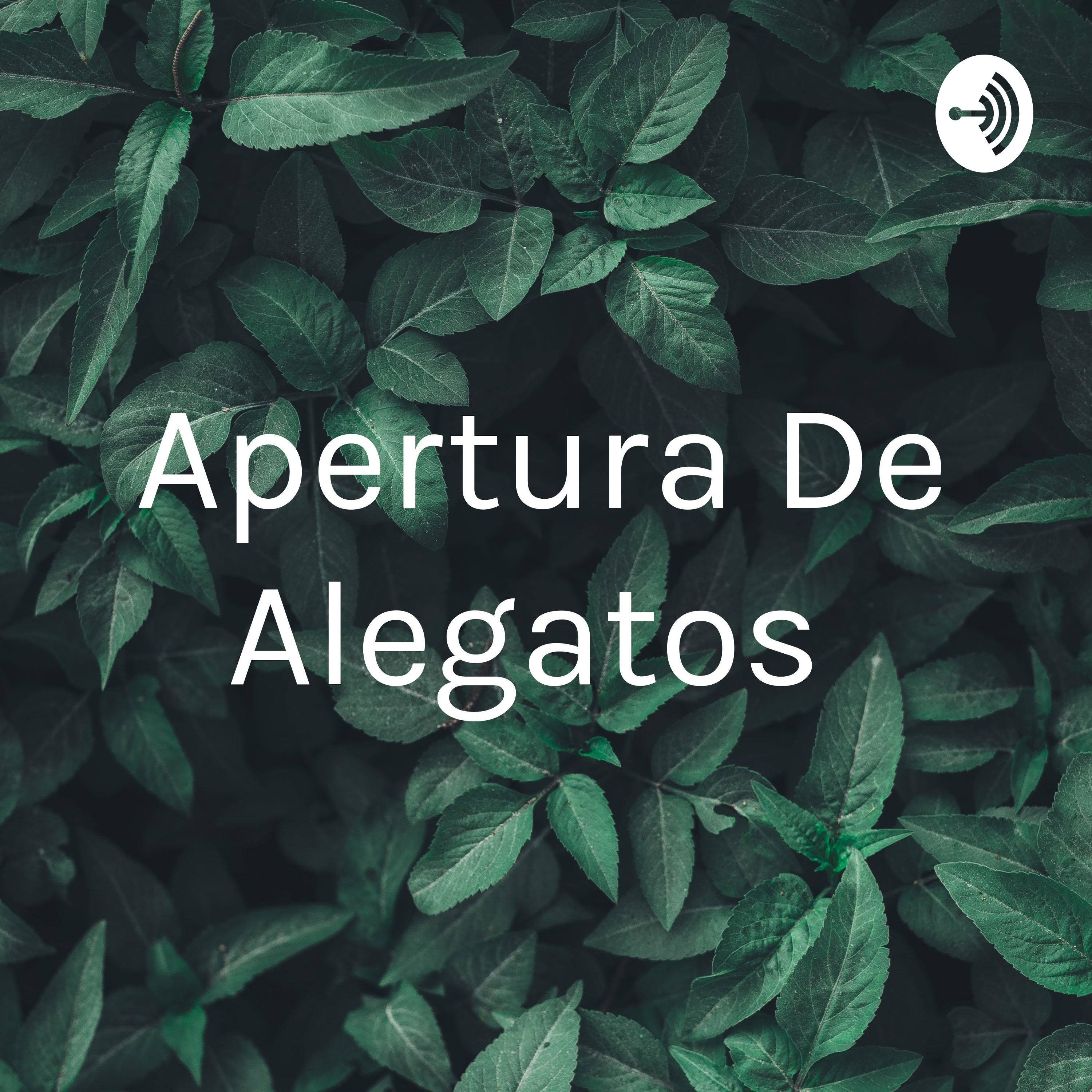 Apertura De Alegatos 