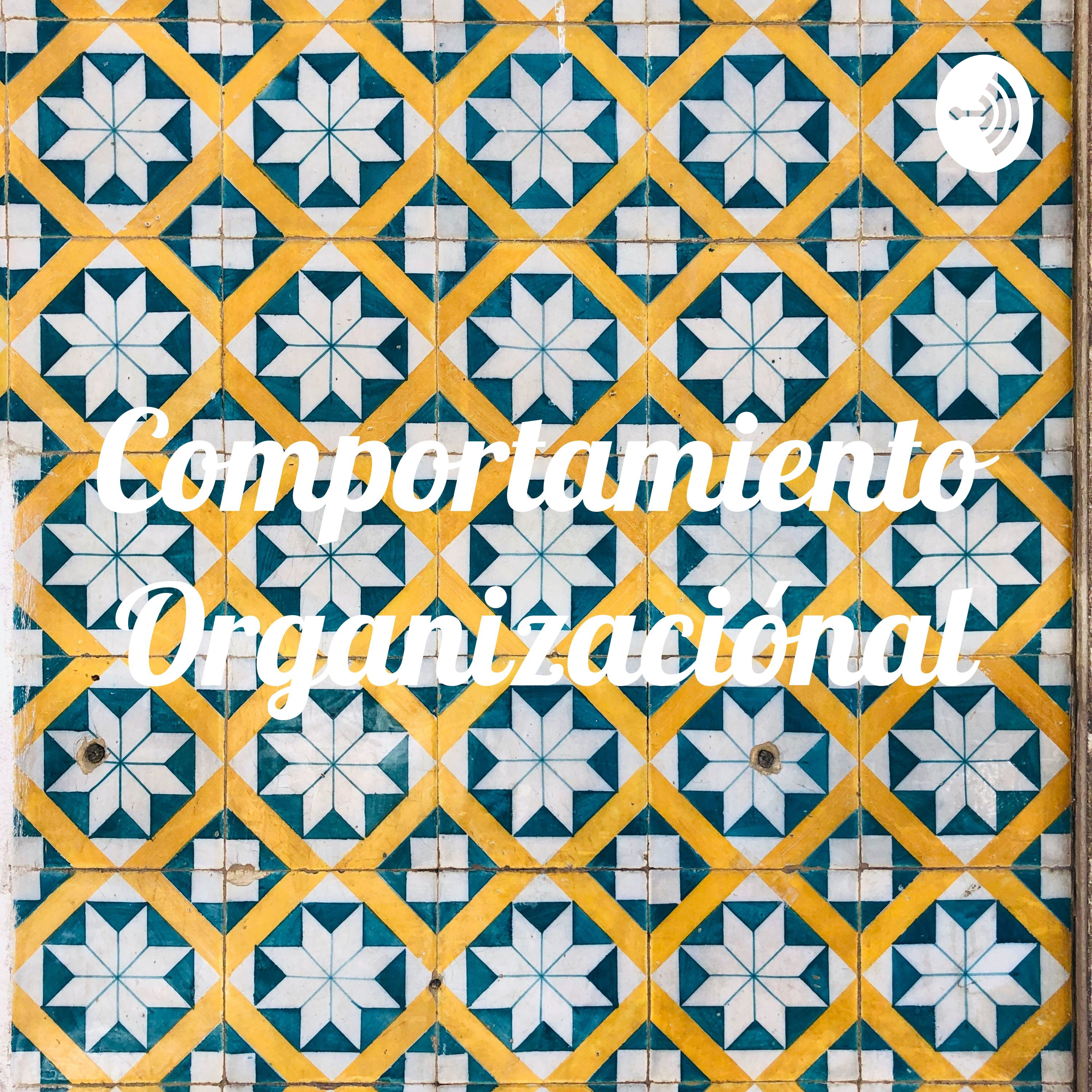 Comportamiento Organizaciónal