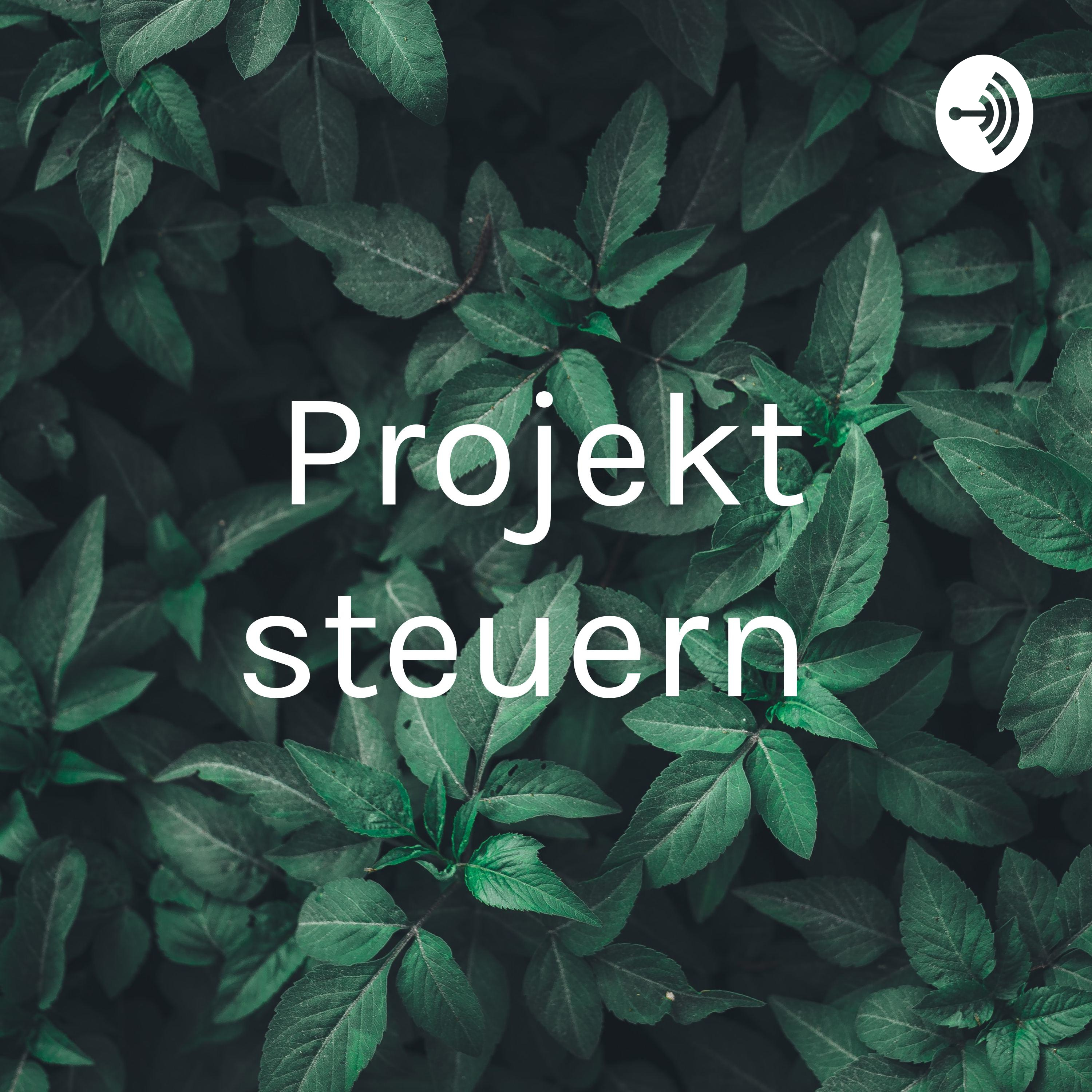 Projekt steuern 