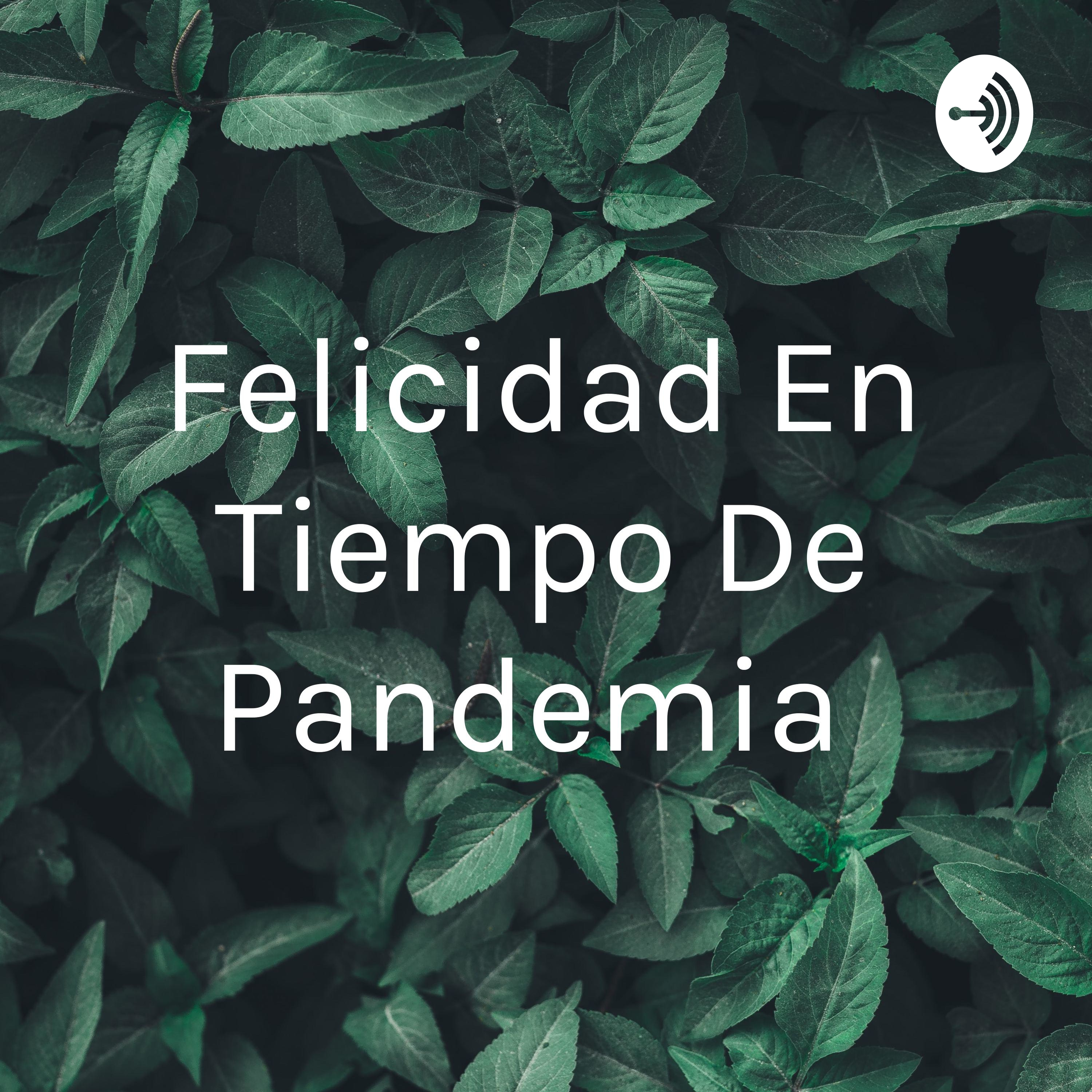 Felicidad En Tiempo De Pandemia