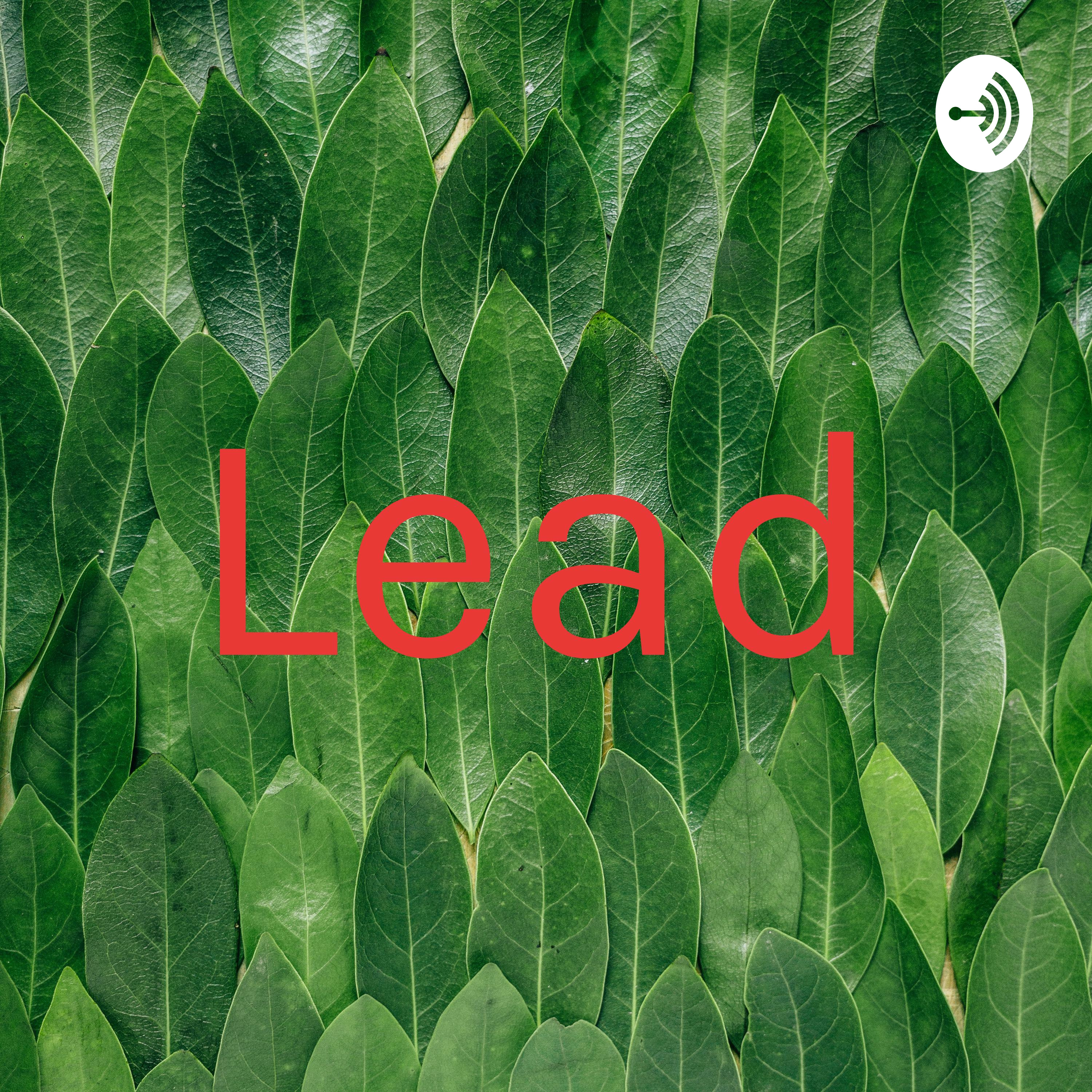Lead