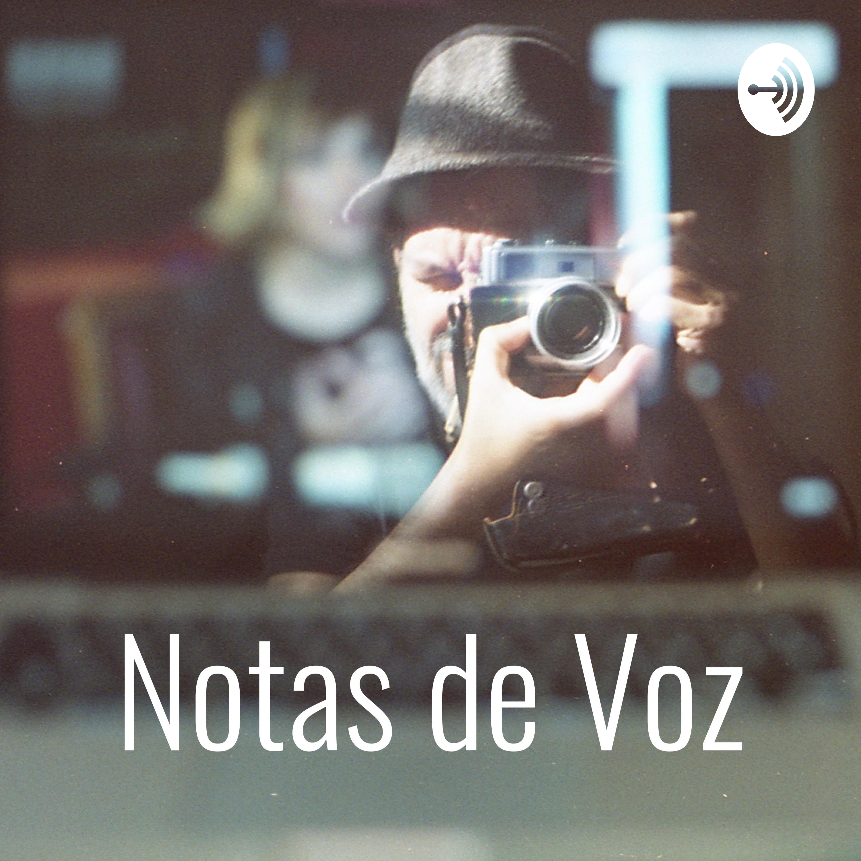 Notas de Voz