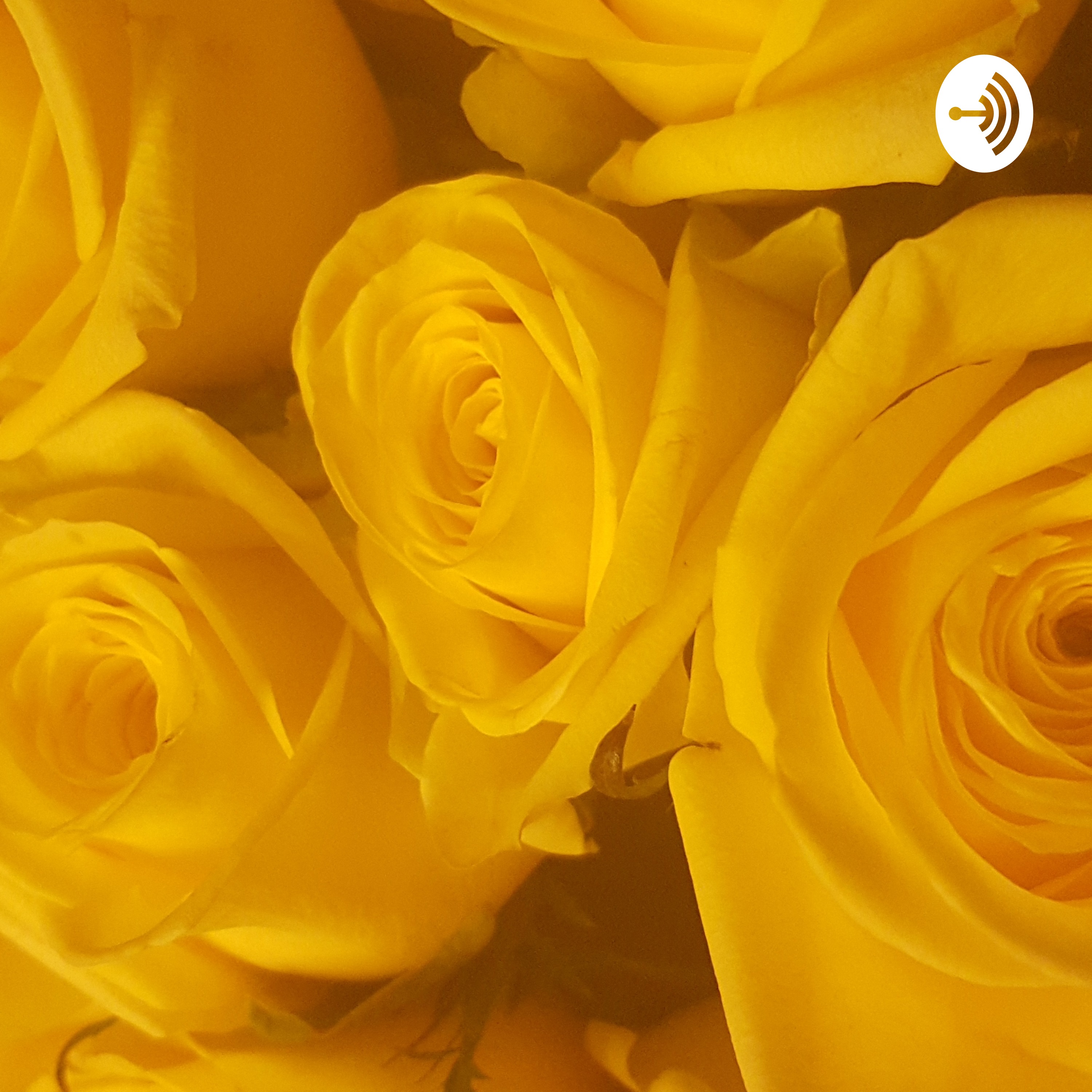 Fidelis Inspire Podcast