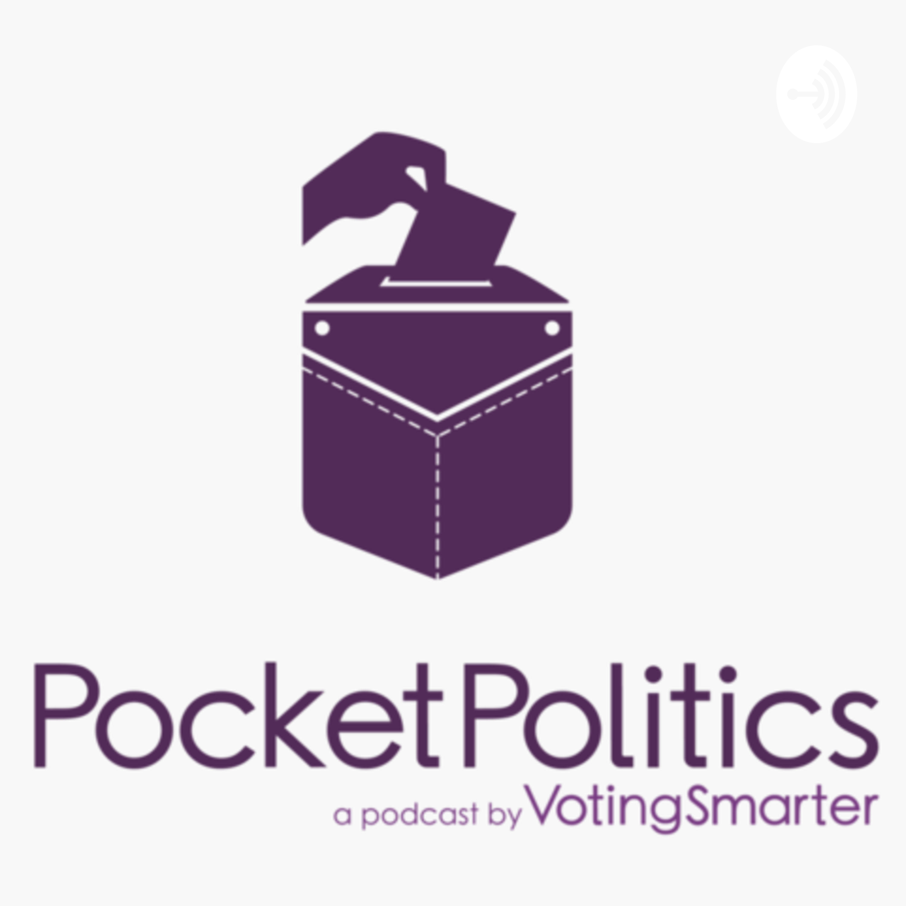 PocketPolitics by VotingSmarter - Vote and Shop your values!