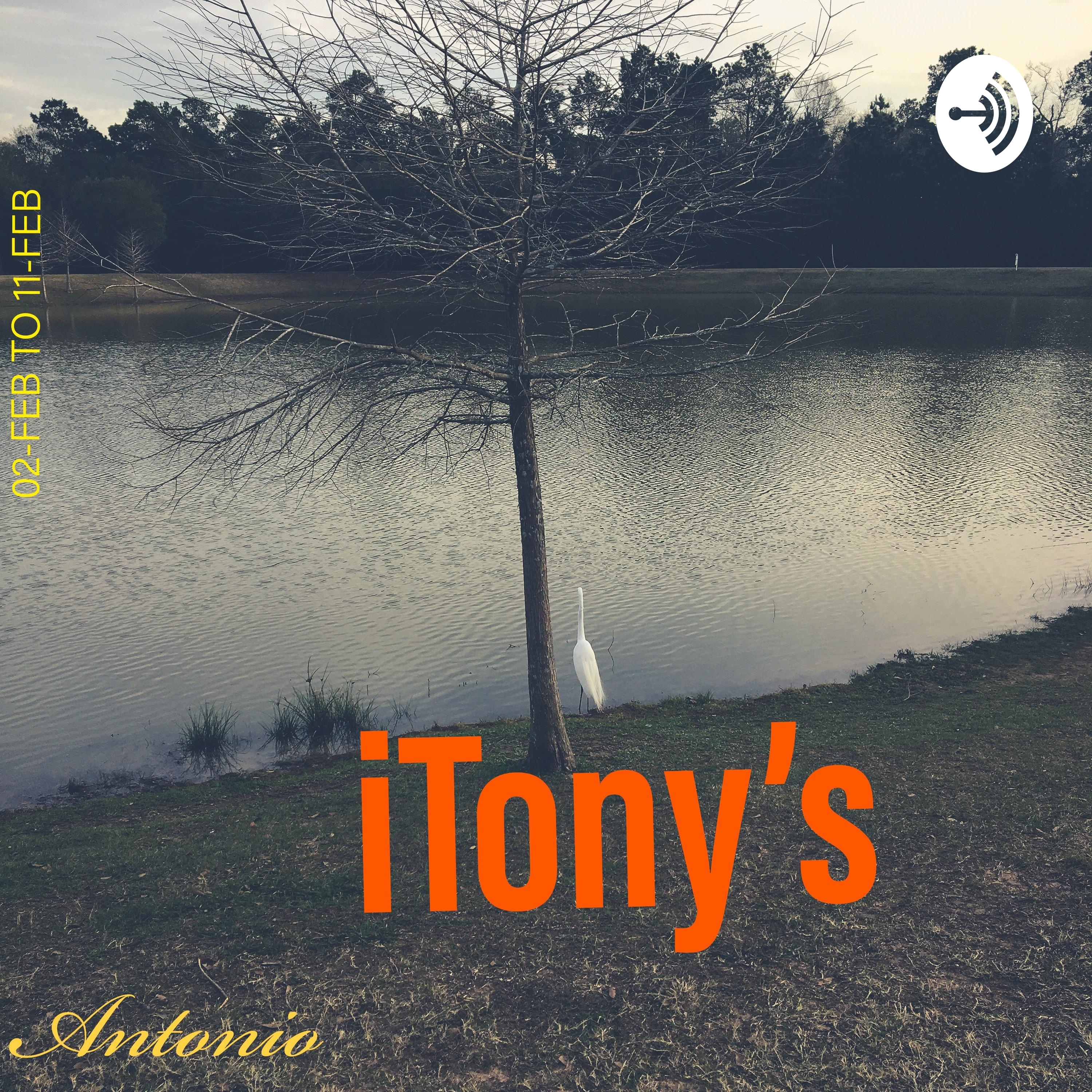 iTony's
