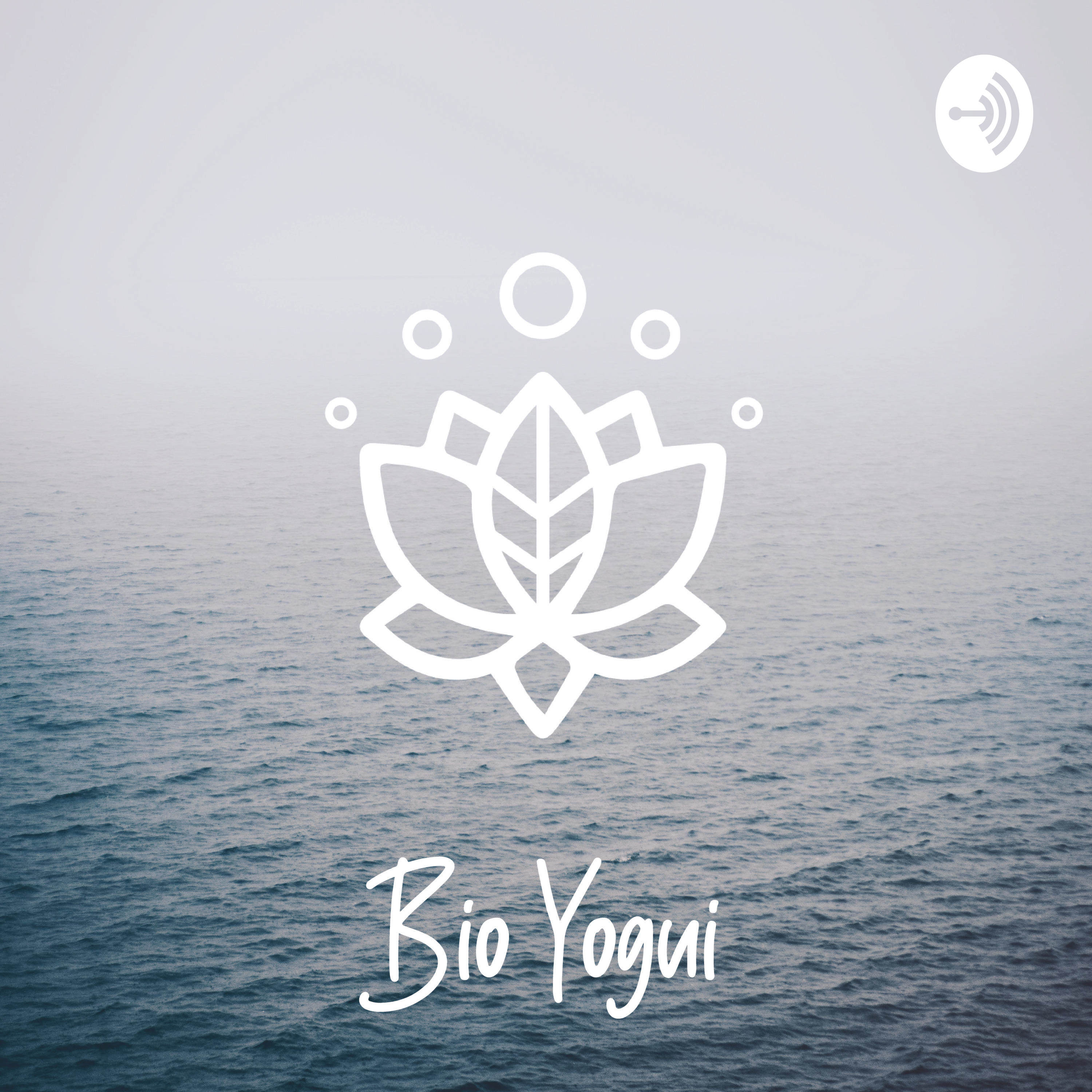 Bio Yogui