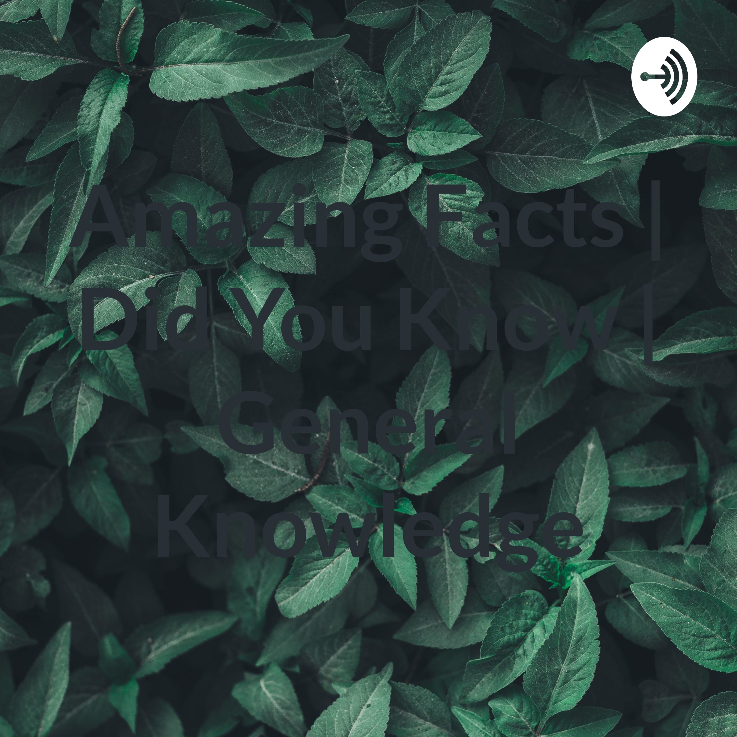 Amazing Facts | Did You Know | General Knowledge