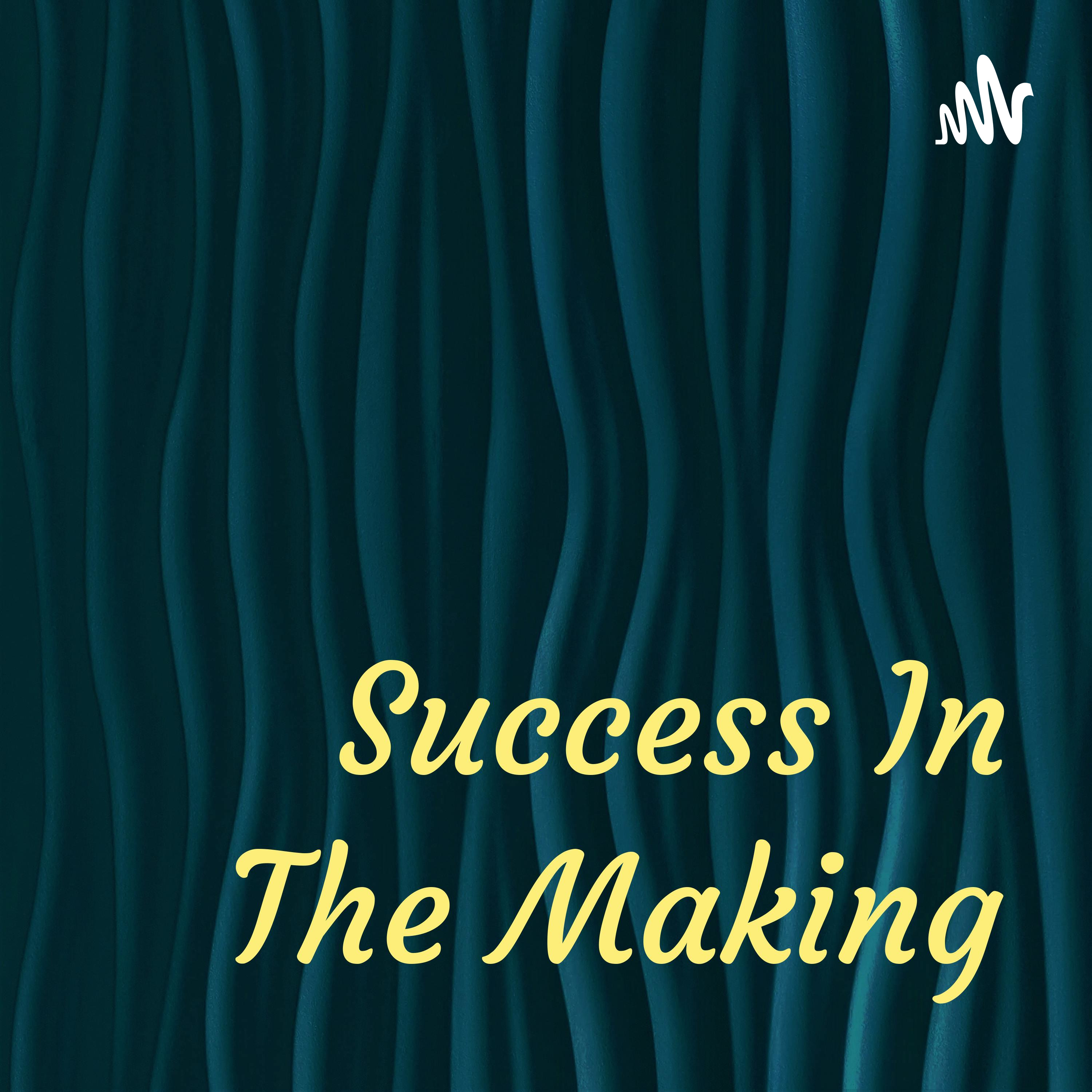 Success In The Making podcast artwork