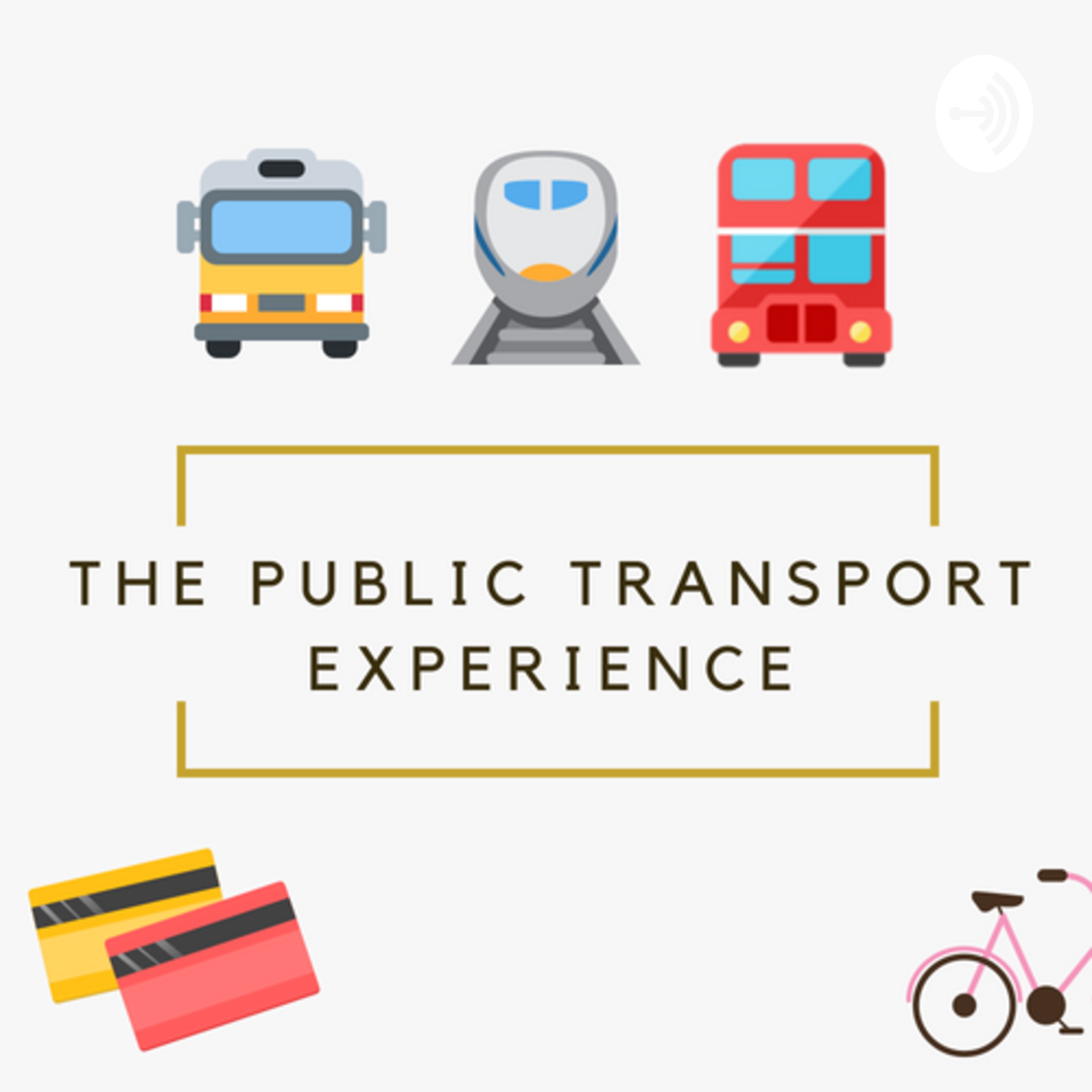 The Public Transport Experience