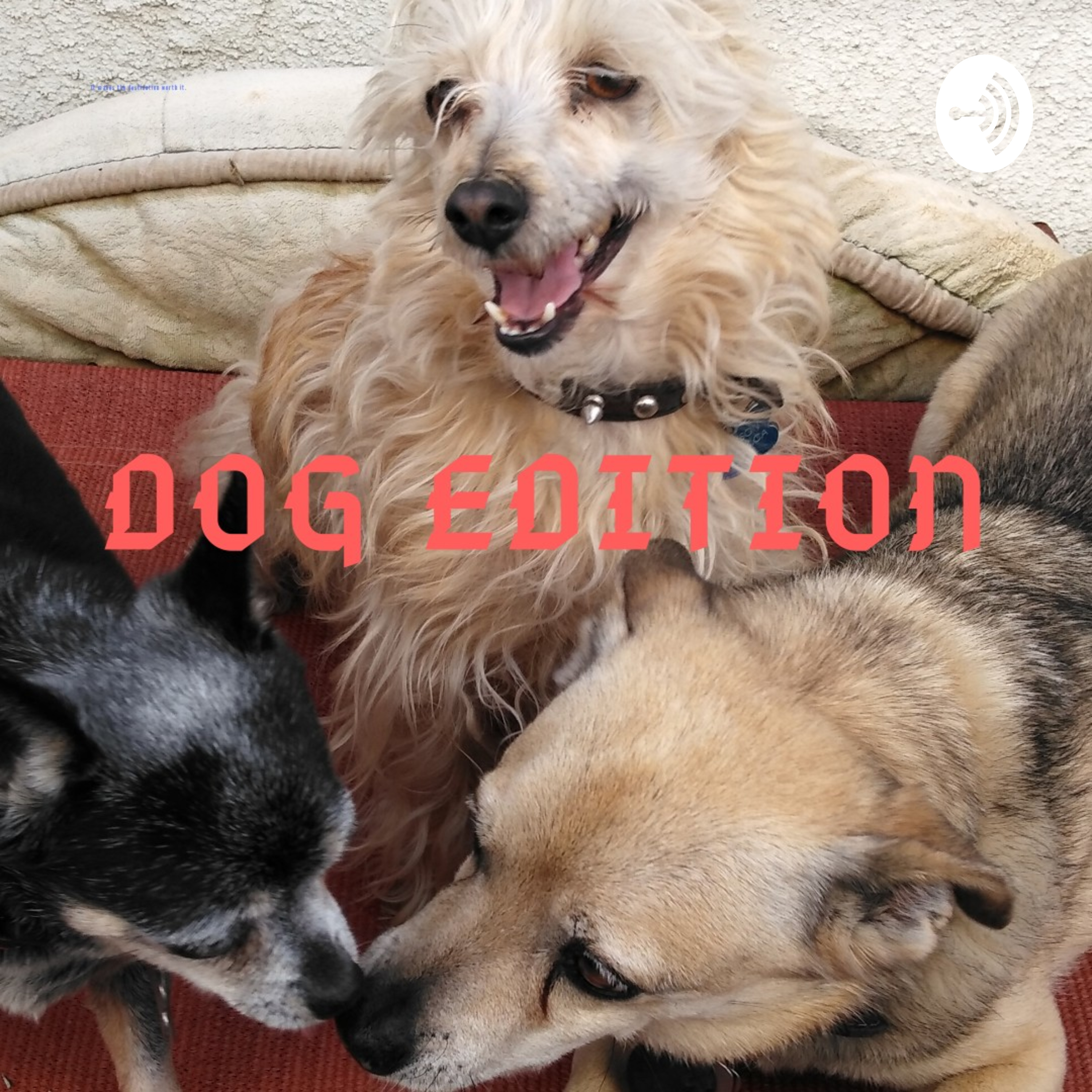 The Bond Of Friendship, Dog Edition