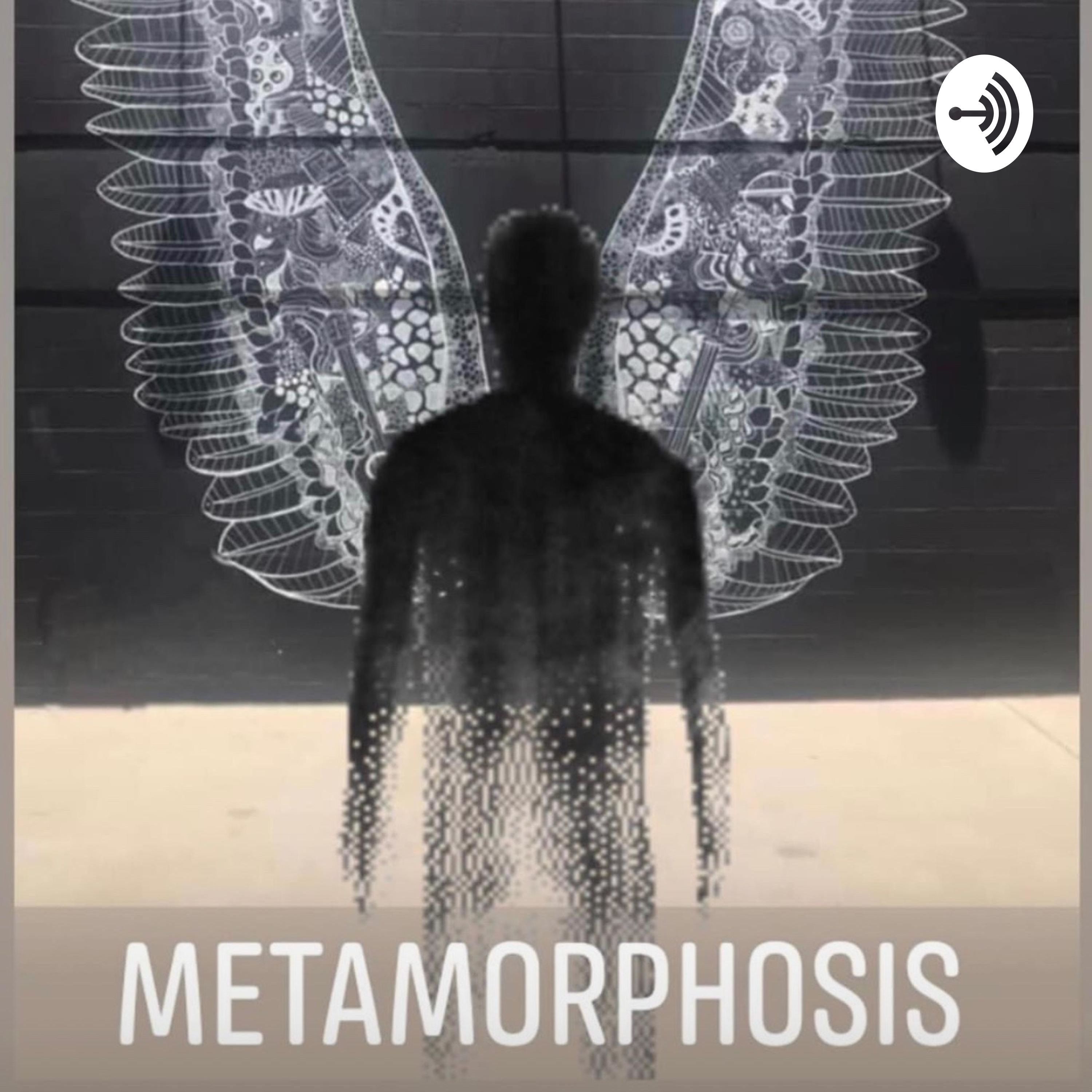 Metamorphosis