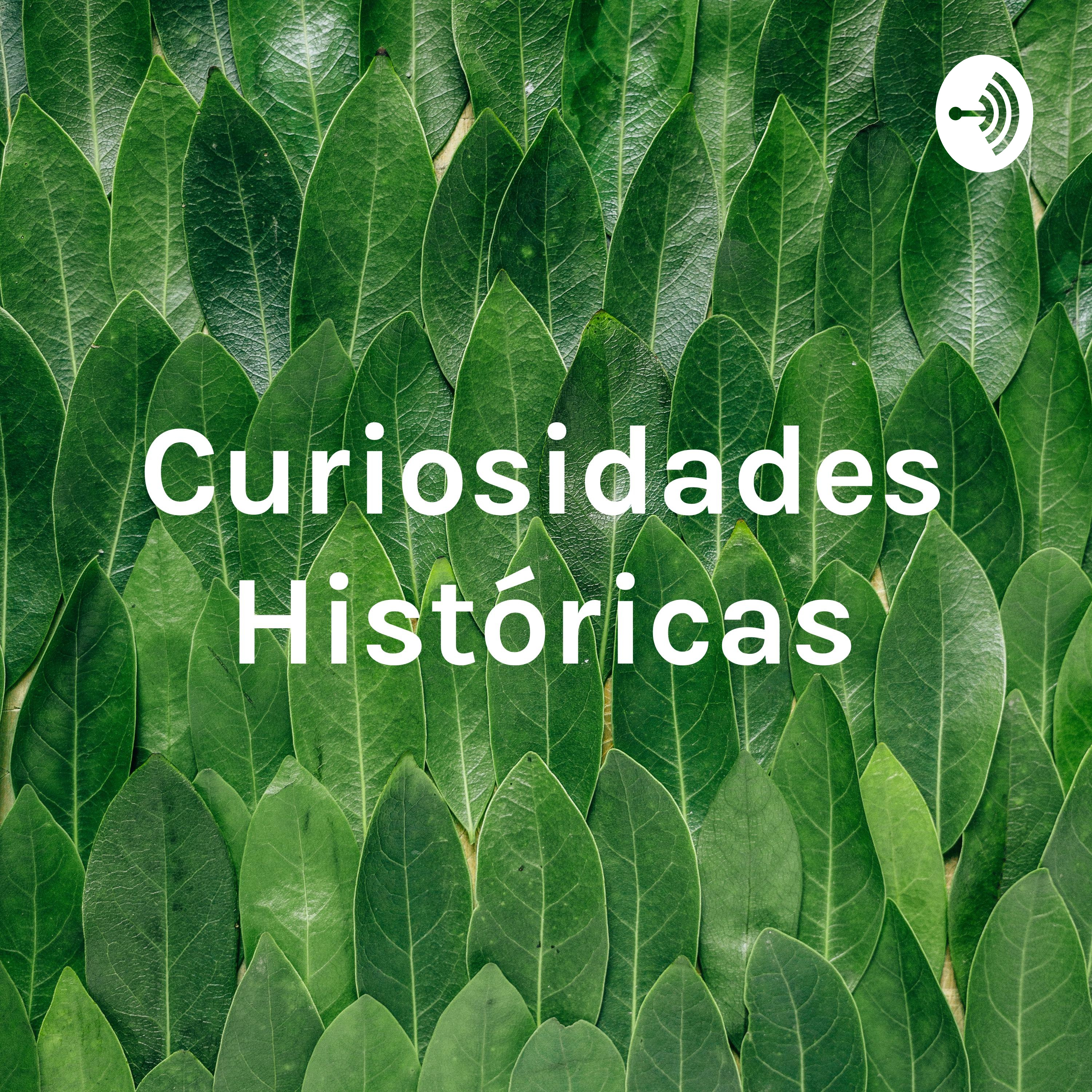 Curiosidades Históricas - Tatiana Costa Coelho
