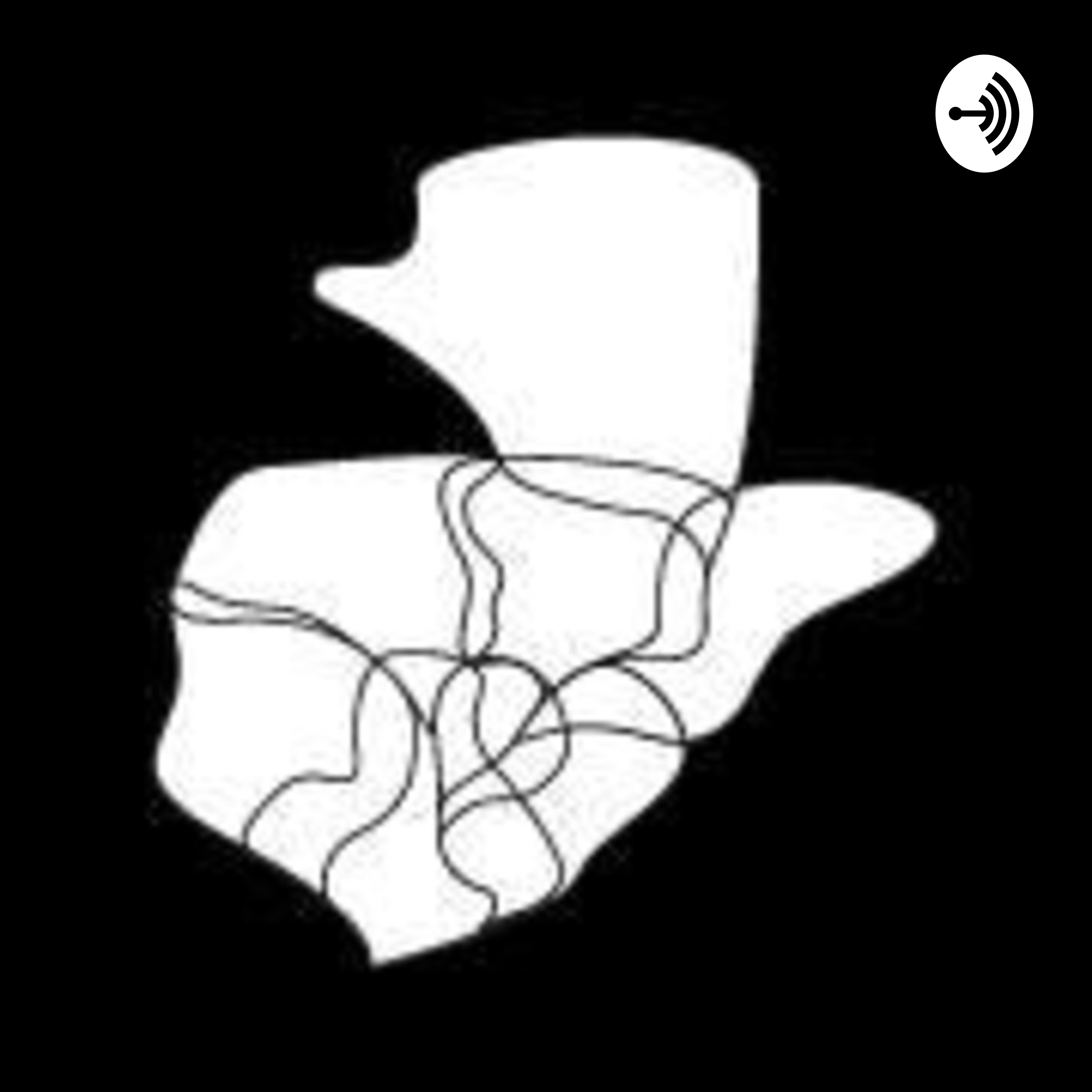 ¿Ampliamos la perspectiva? - Episodio 03 Red de Redes