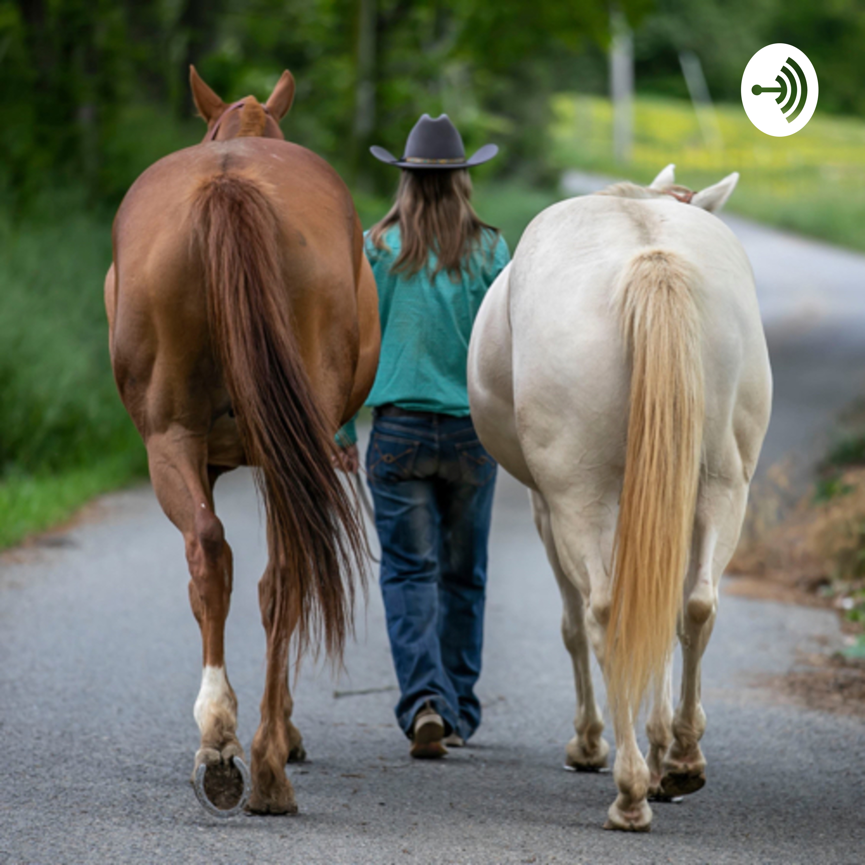 Sorrels and Cremellos: Let's talk horses and barrel racing!