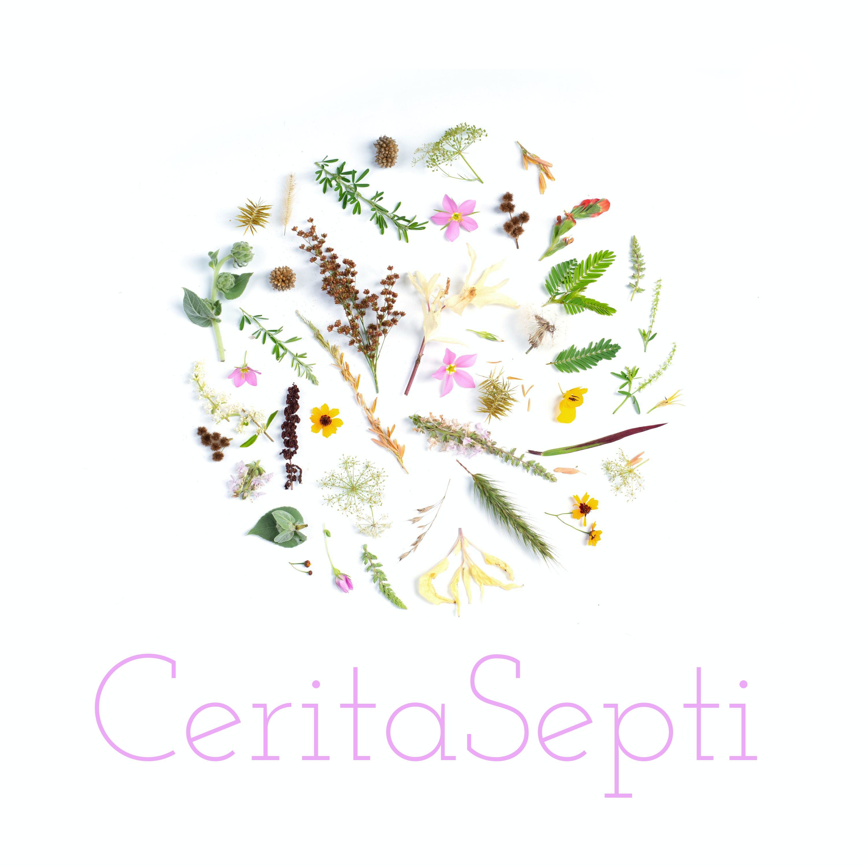 Cerita Septi
