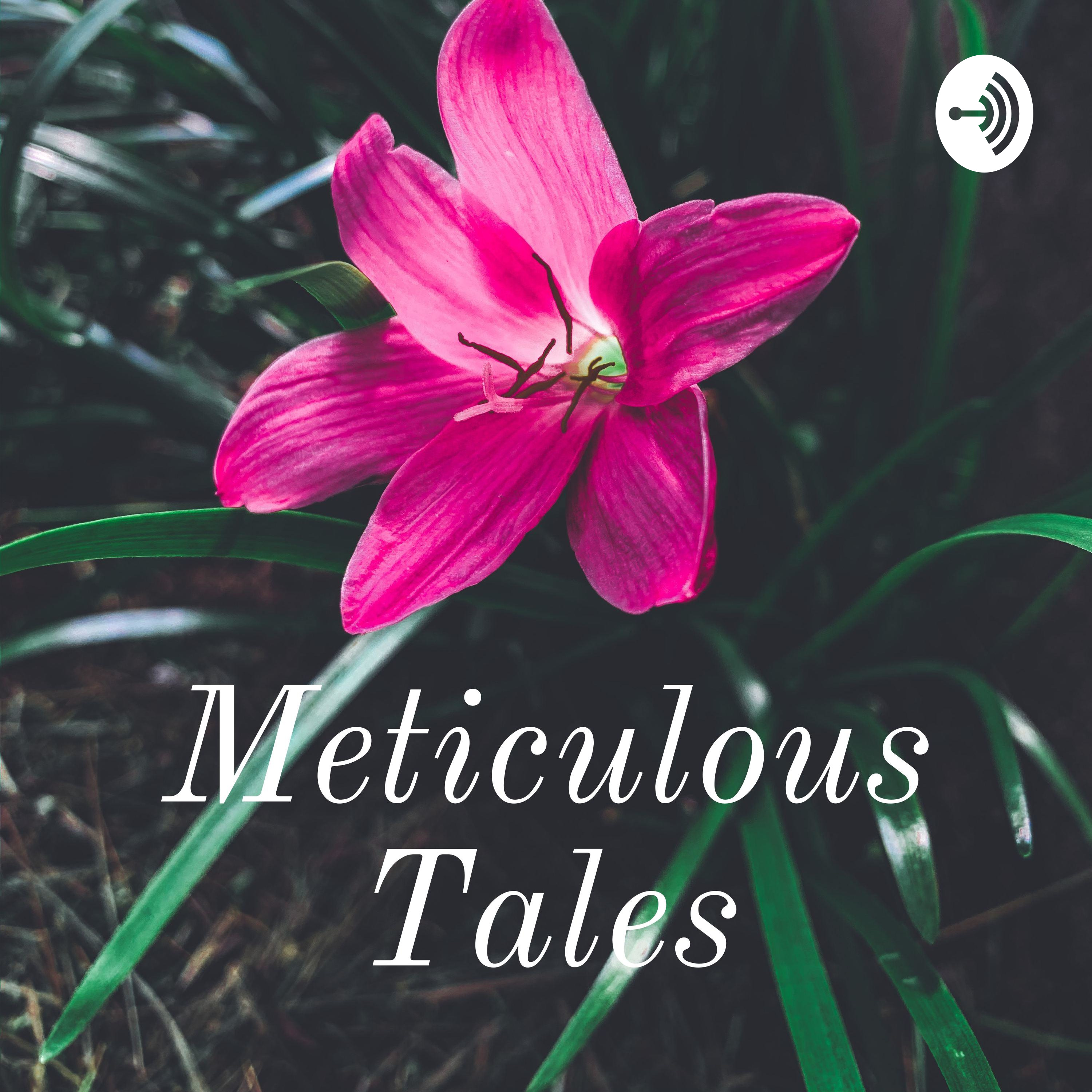 Meticulous Tales