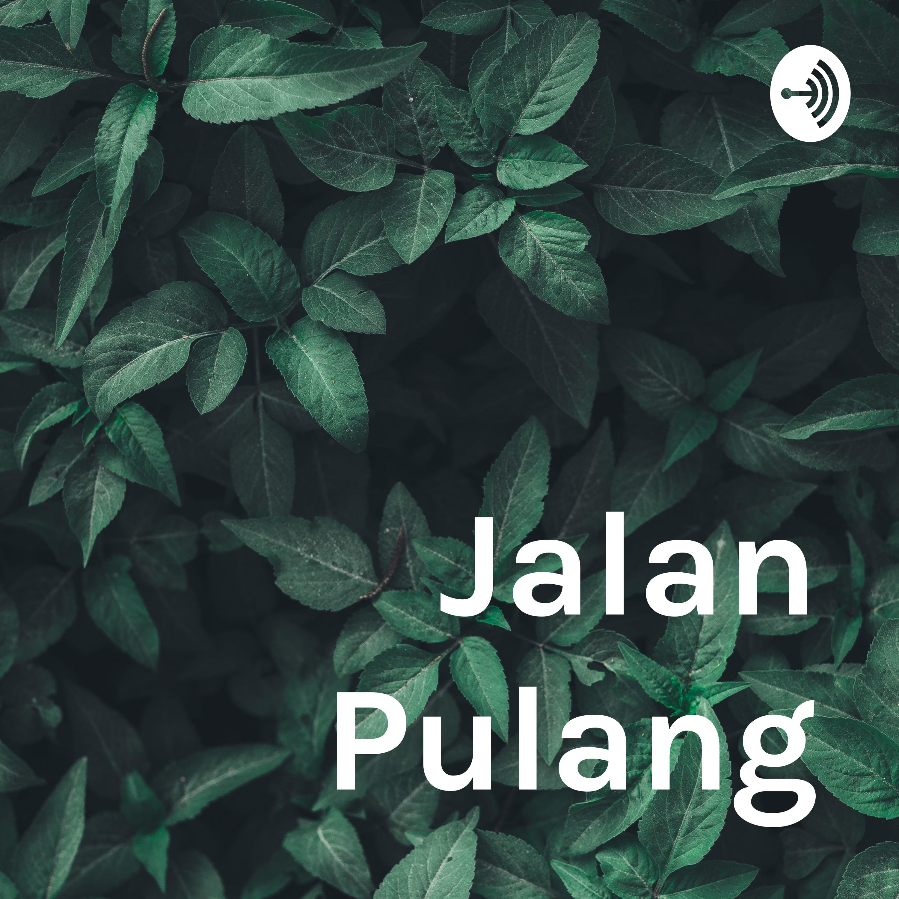 Jalan Pulang