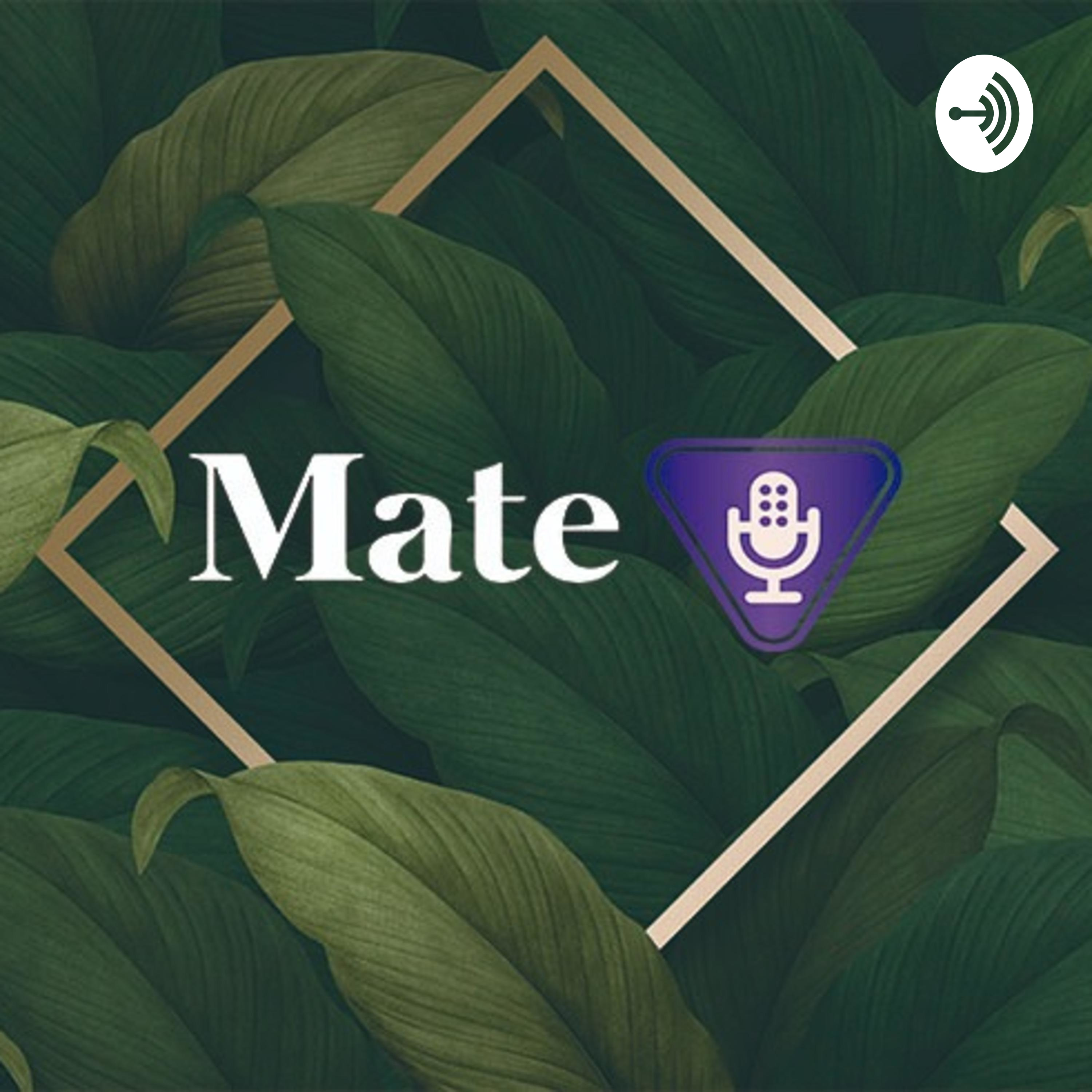Mate Mate