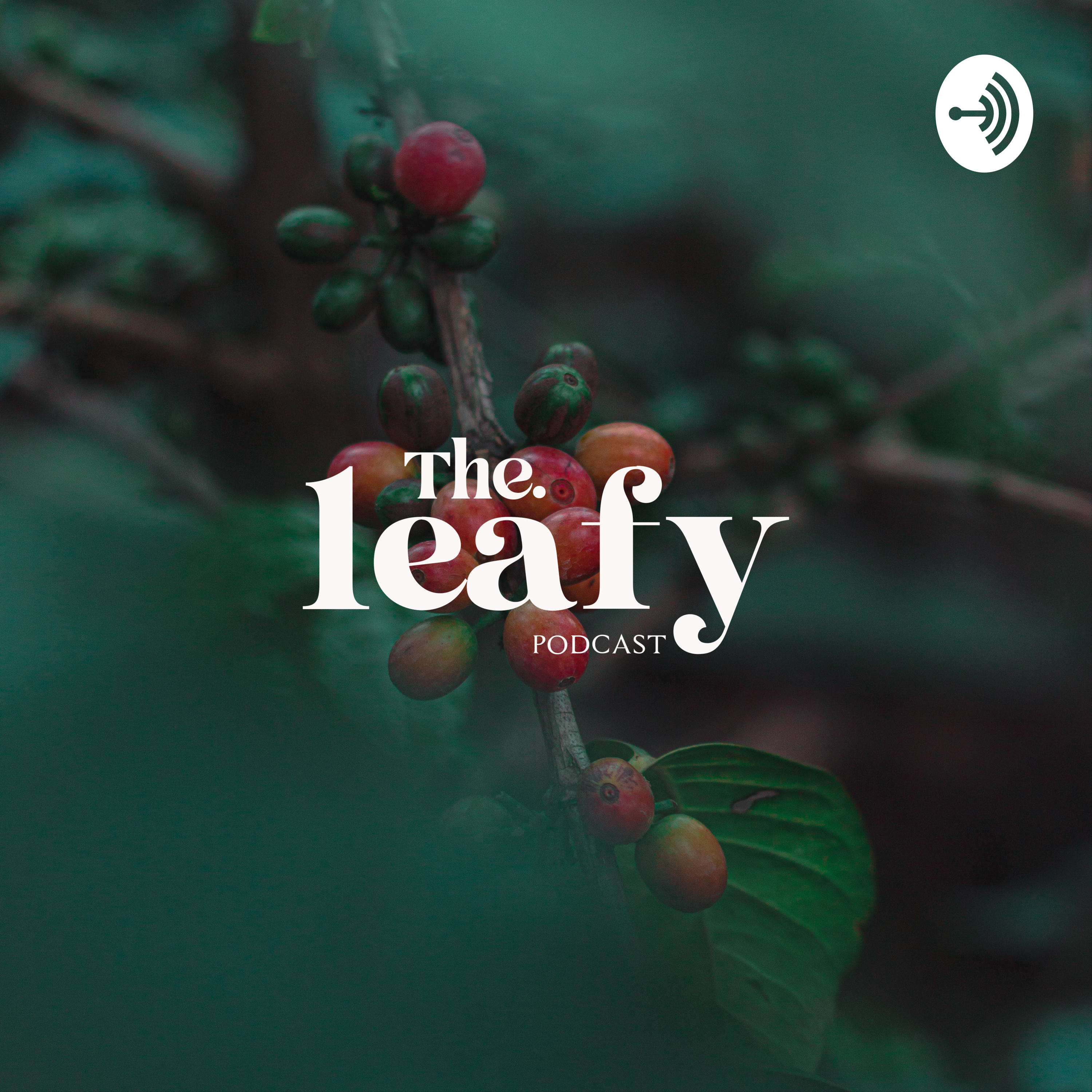 The.leafypodcast The.leafypodcast podcast