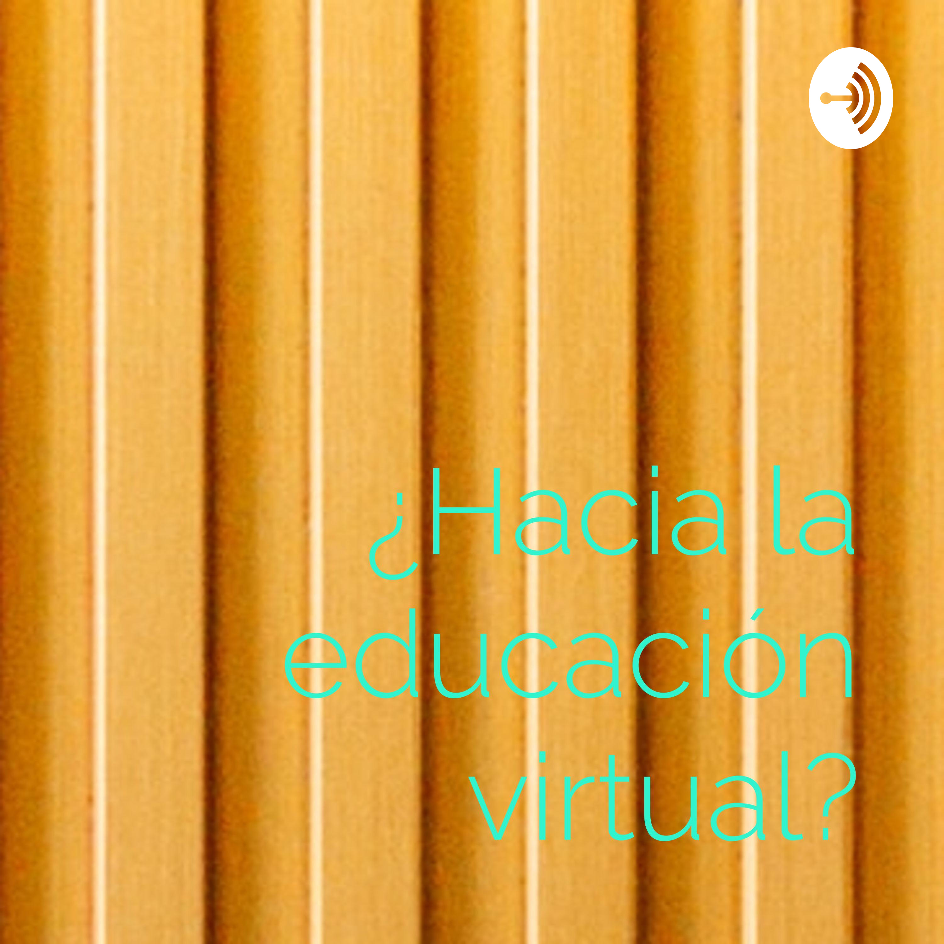 ¿Hacia la educación virtual?
