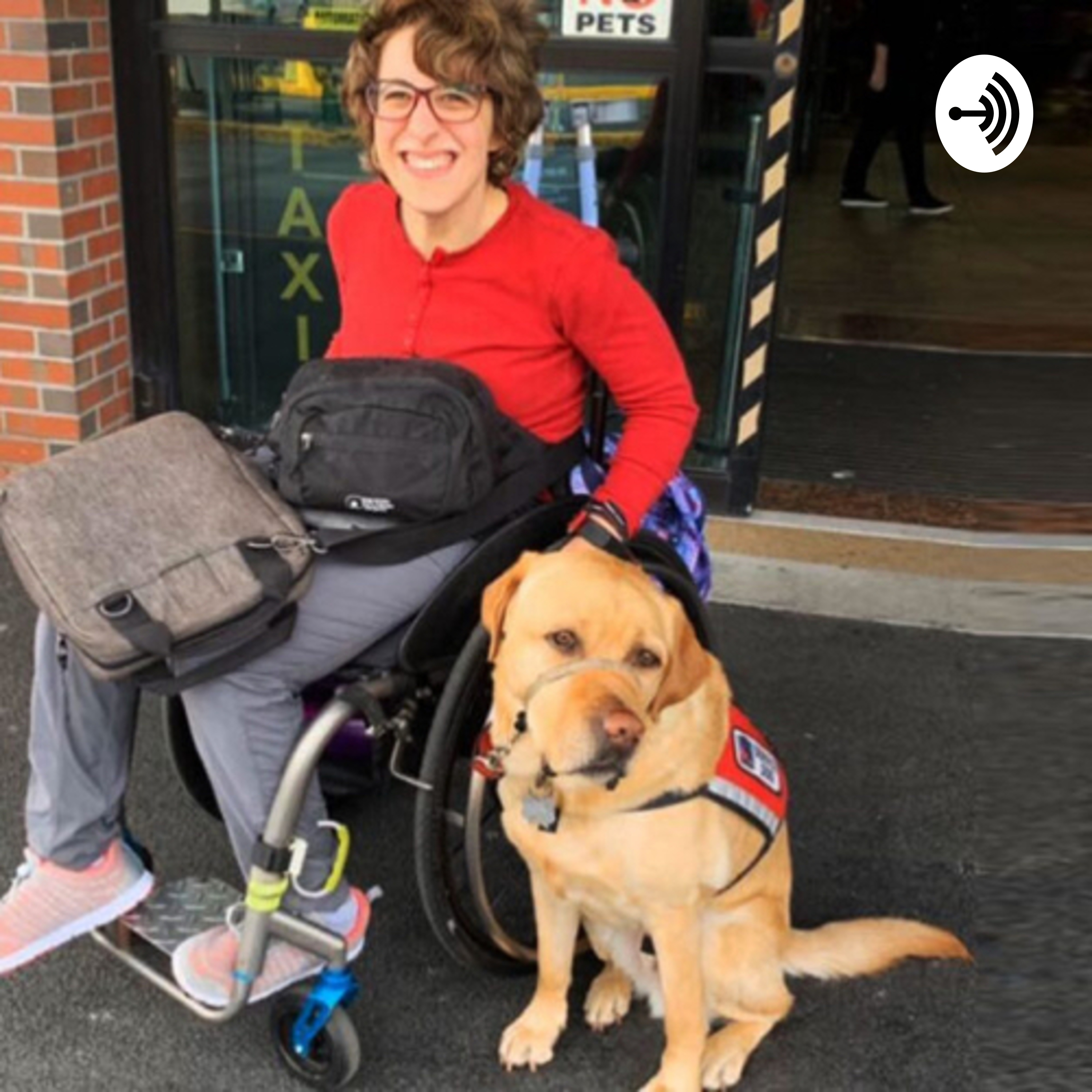 Edison365: Raising Service Dog/disability awareness one day at a time
