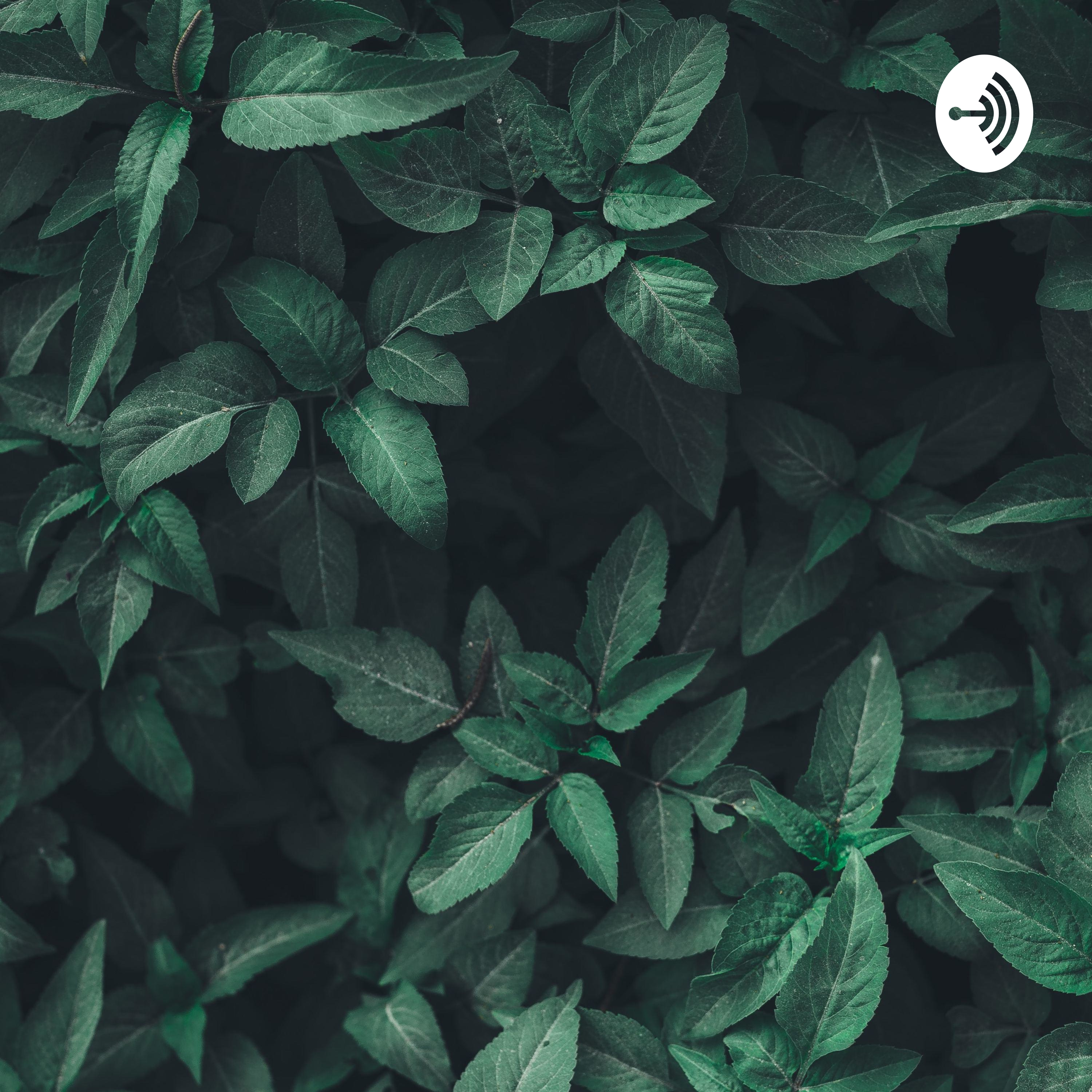 Hyperlink Podcast