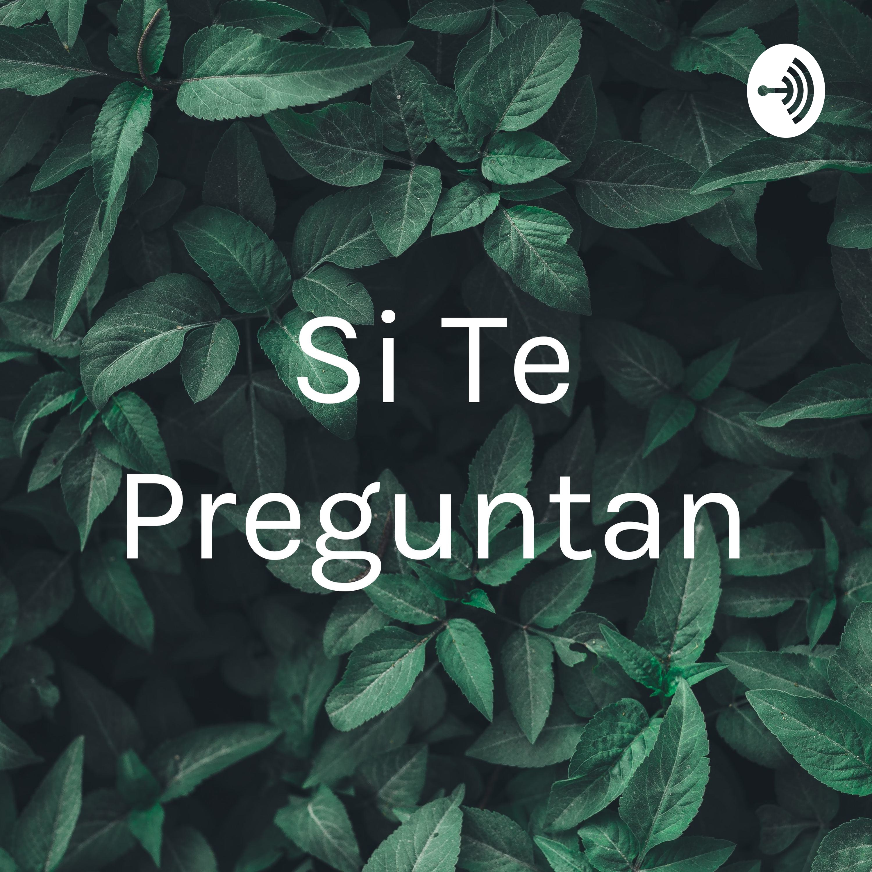 Si Te Preguntan