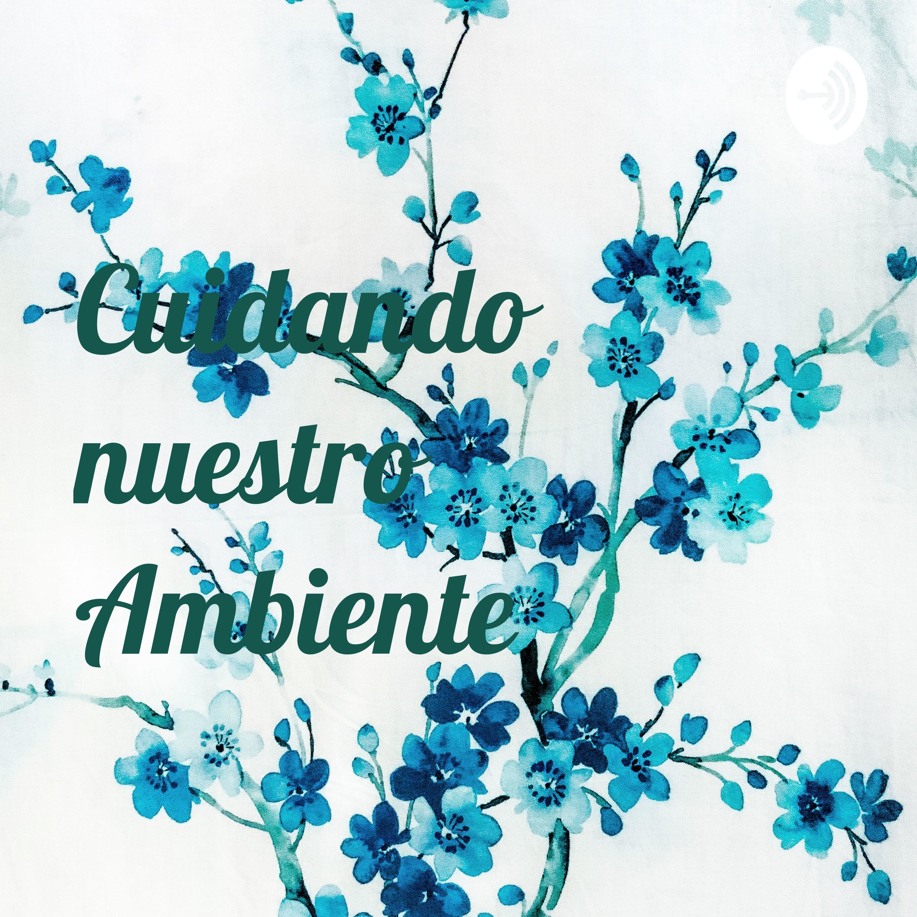 Cuidando nuestro Ambiente