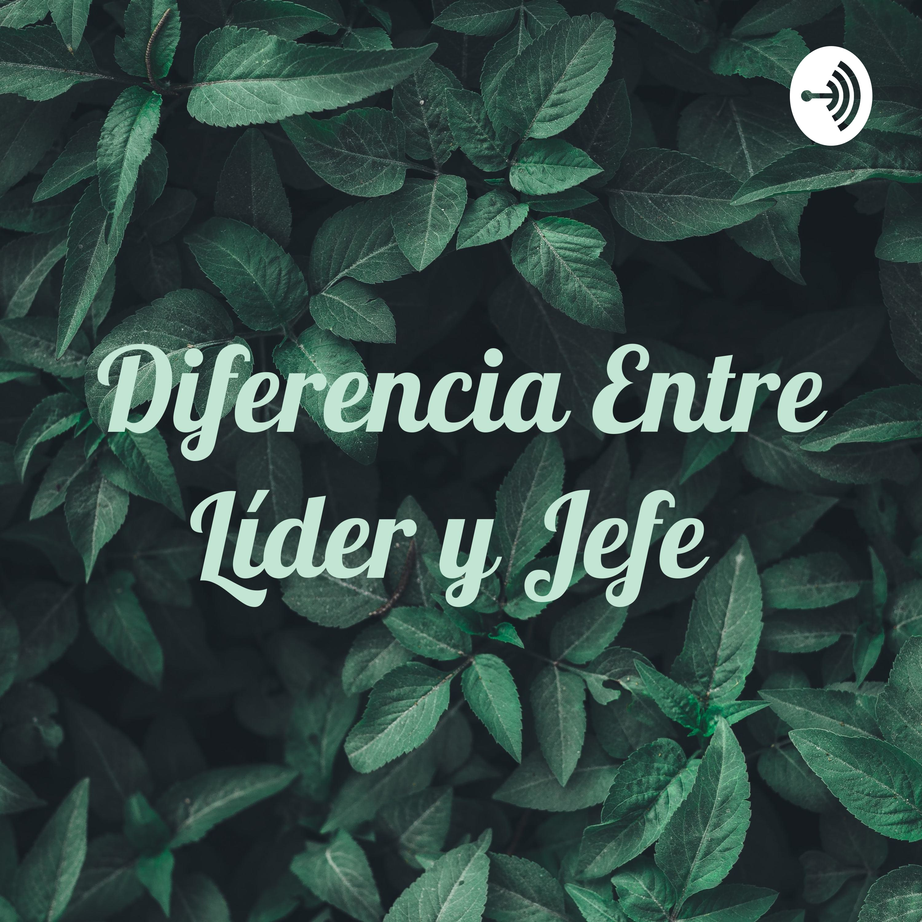 Diferencia Entre Líder y Jefe 