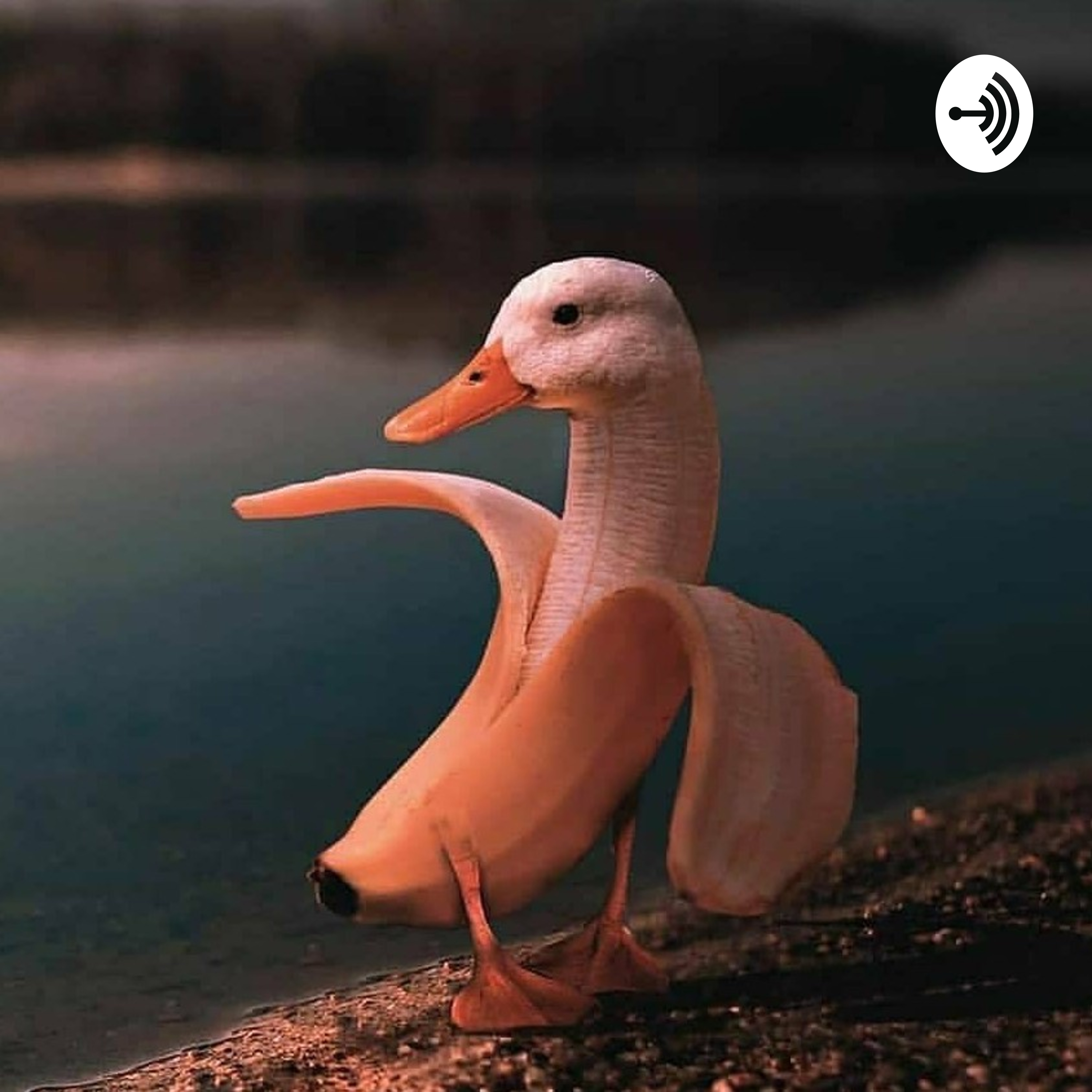 A Quien Cantaras? podcast artwork