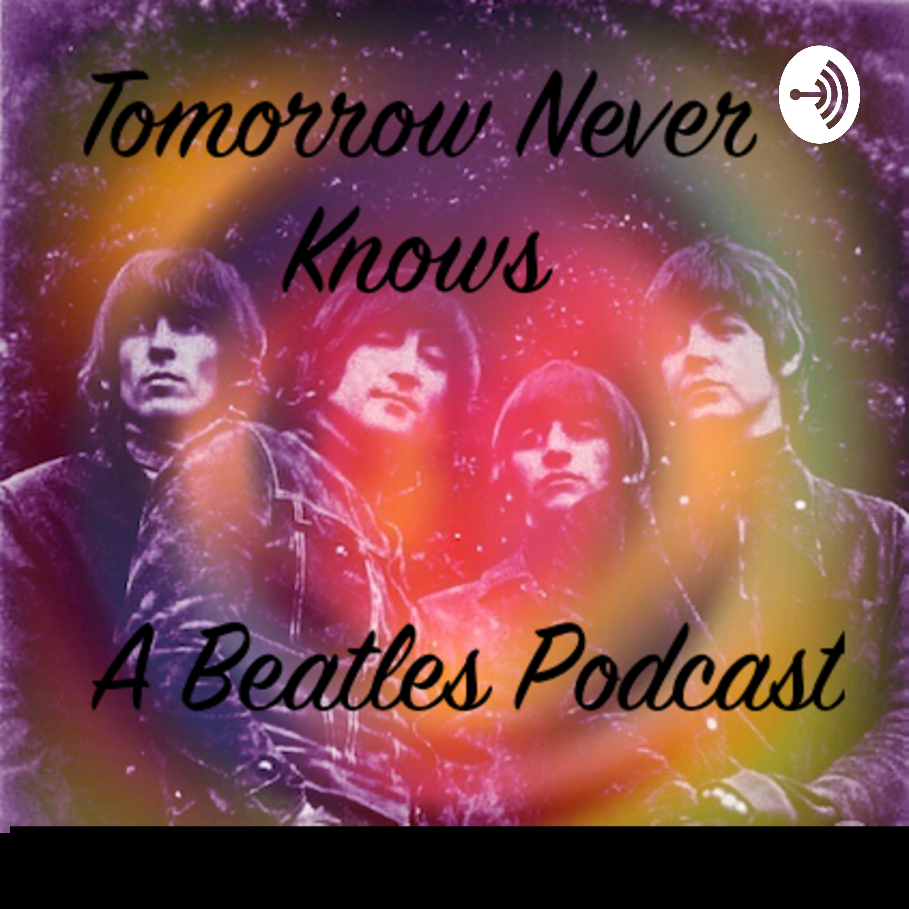 Episode 14- What if the White Album was a Single 14 Track Album? We discuss our 14 Tracks episode artwork
