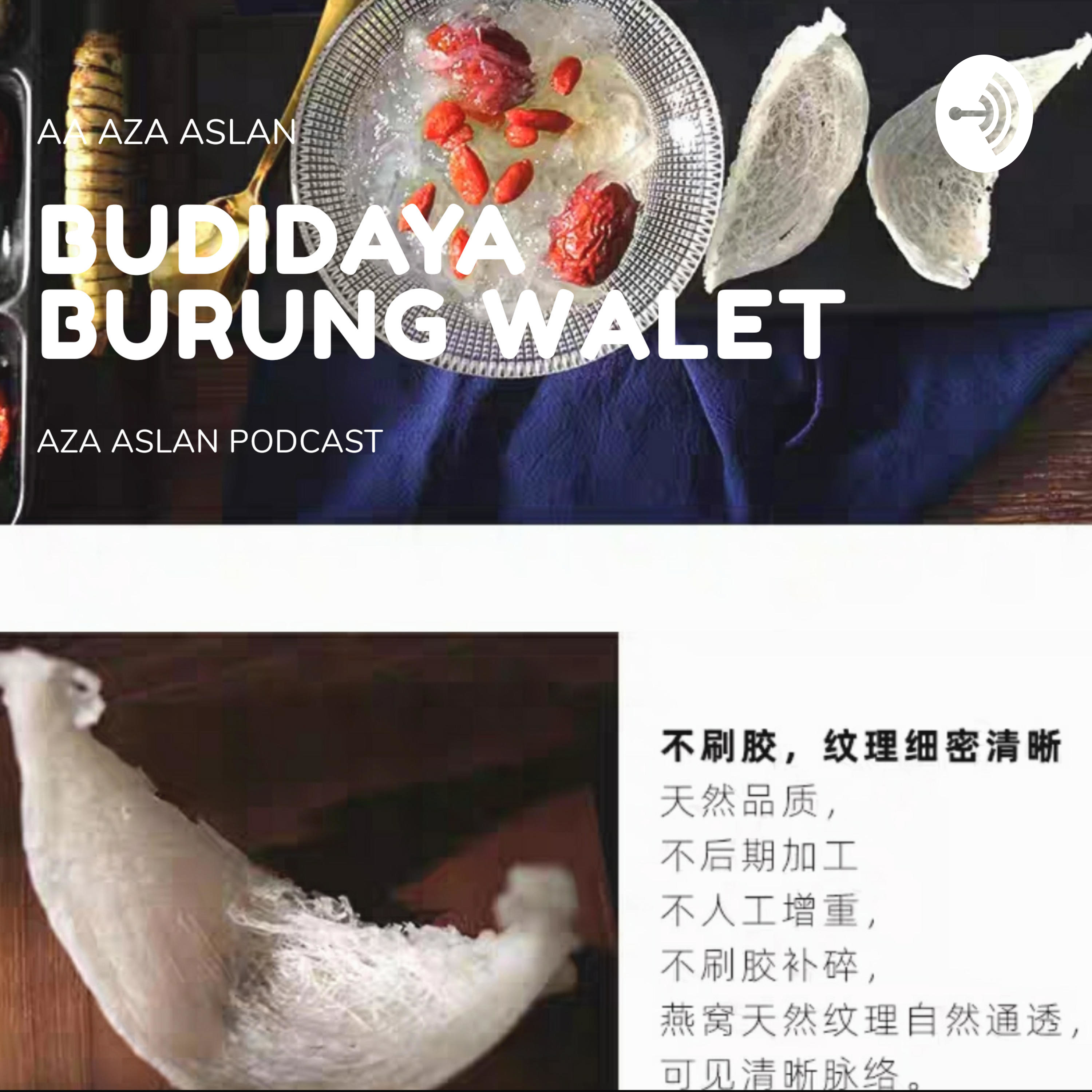 AZA WALET INDONESIA