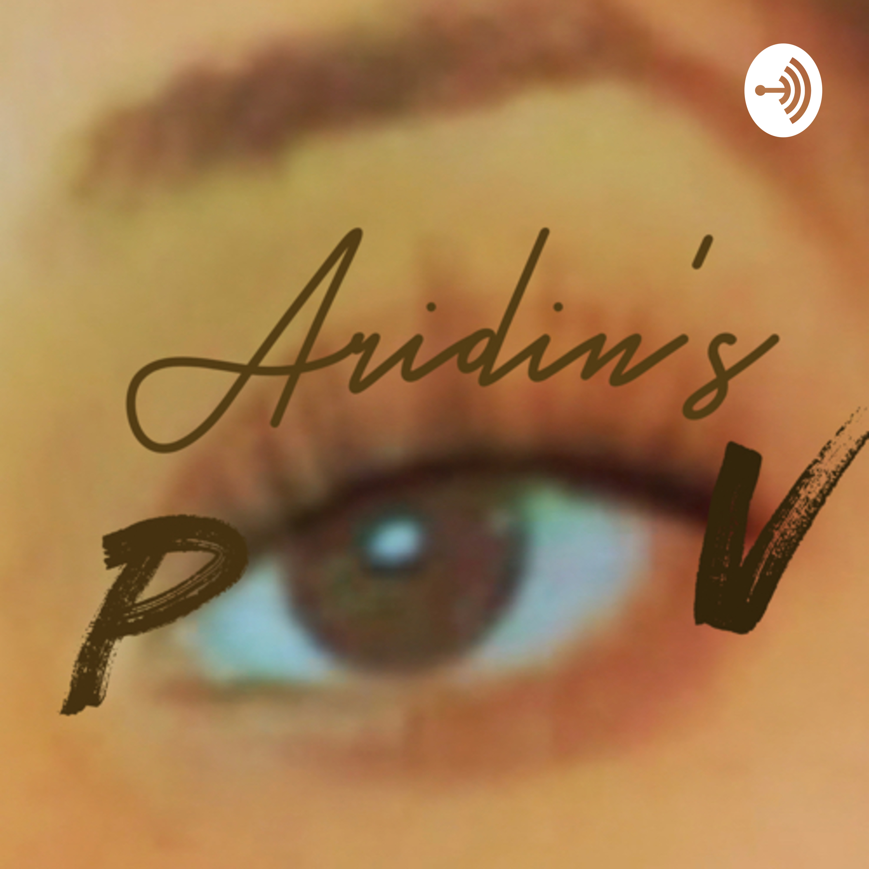 Aridin’s Point of View