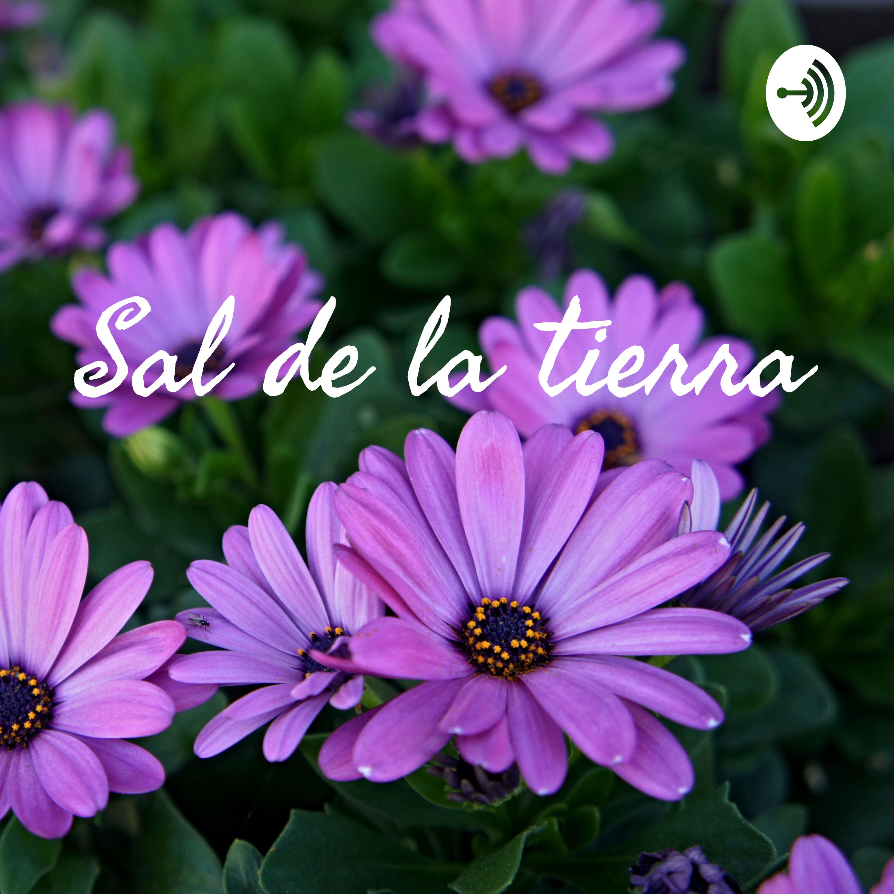 Sal de la tierra
